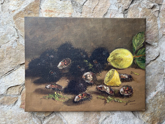 Quadro -Ricci Di Mare- Luigi Seme- dipinto a olio su tela