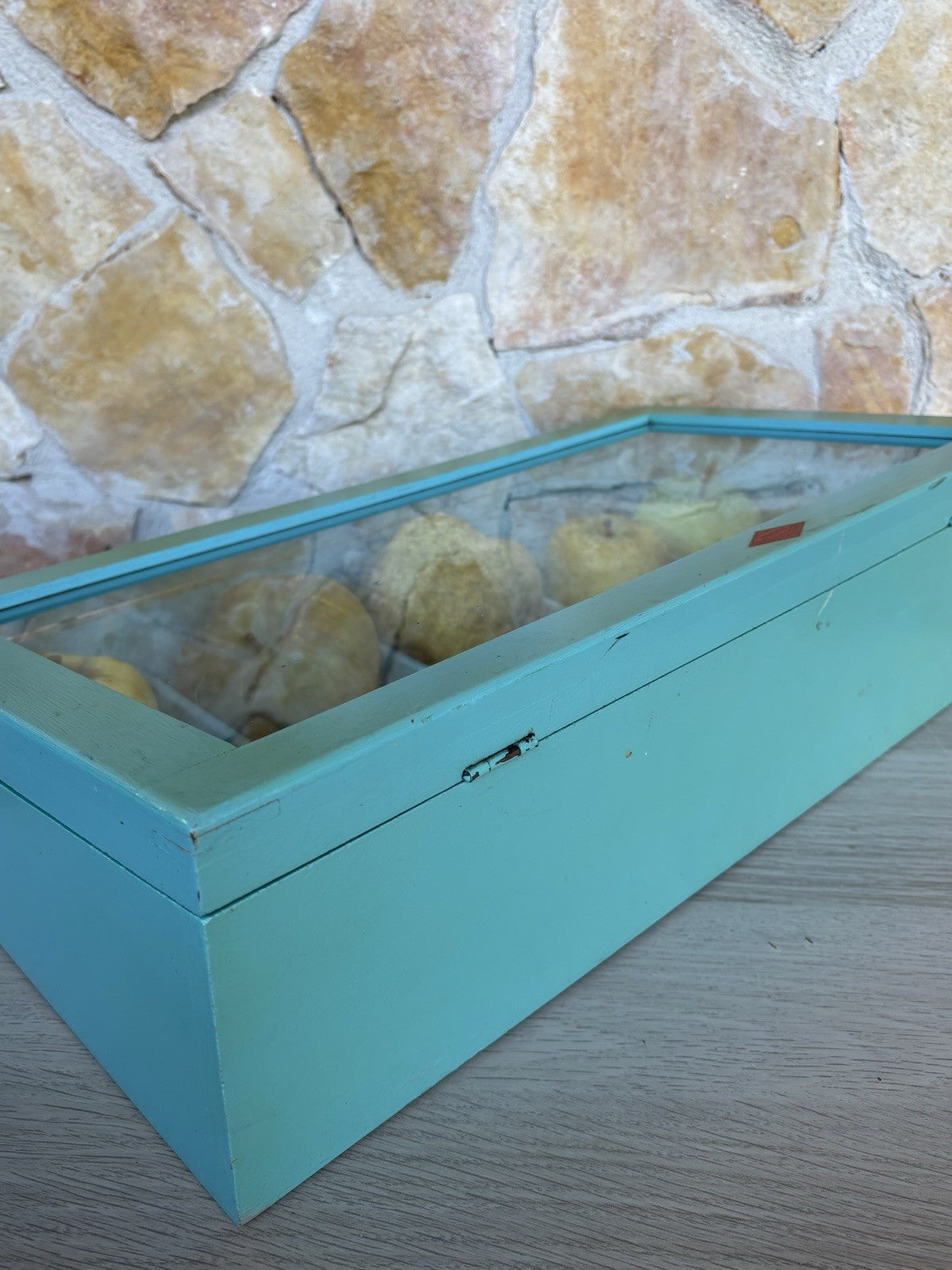 Modello Didattico- Principali Varietà Di Mele- Toffoli E Figli