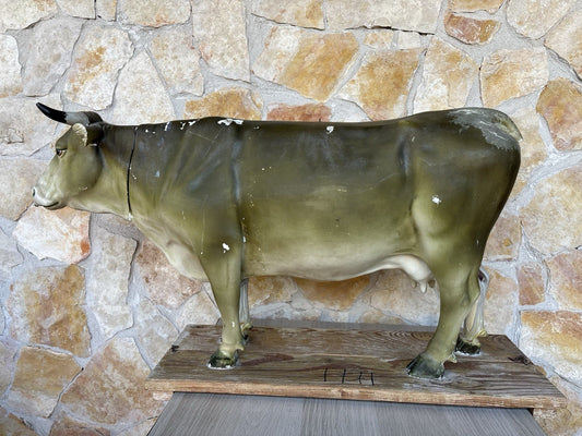 Modello Anatomico Vintage -Vacca Con Corna- In Gesso