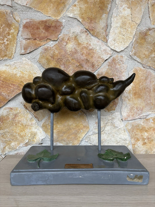 Modello Didattico Vintage