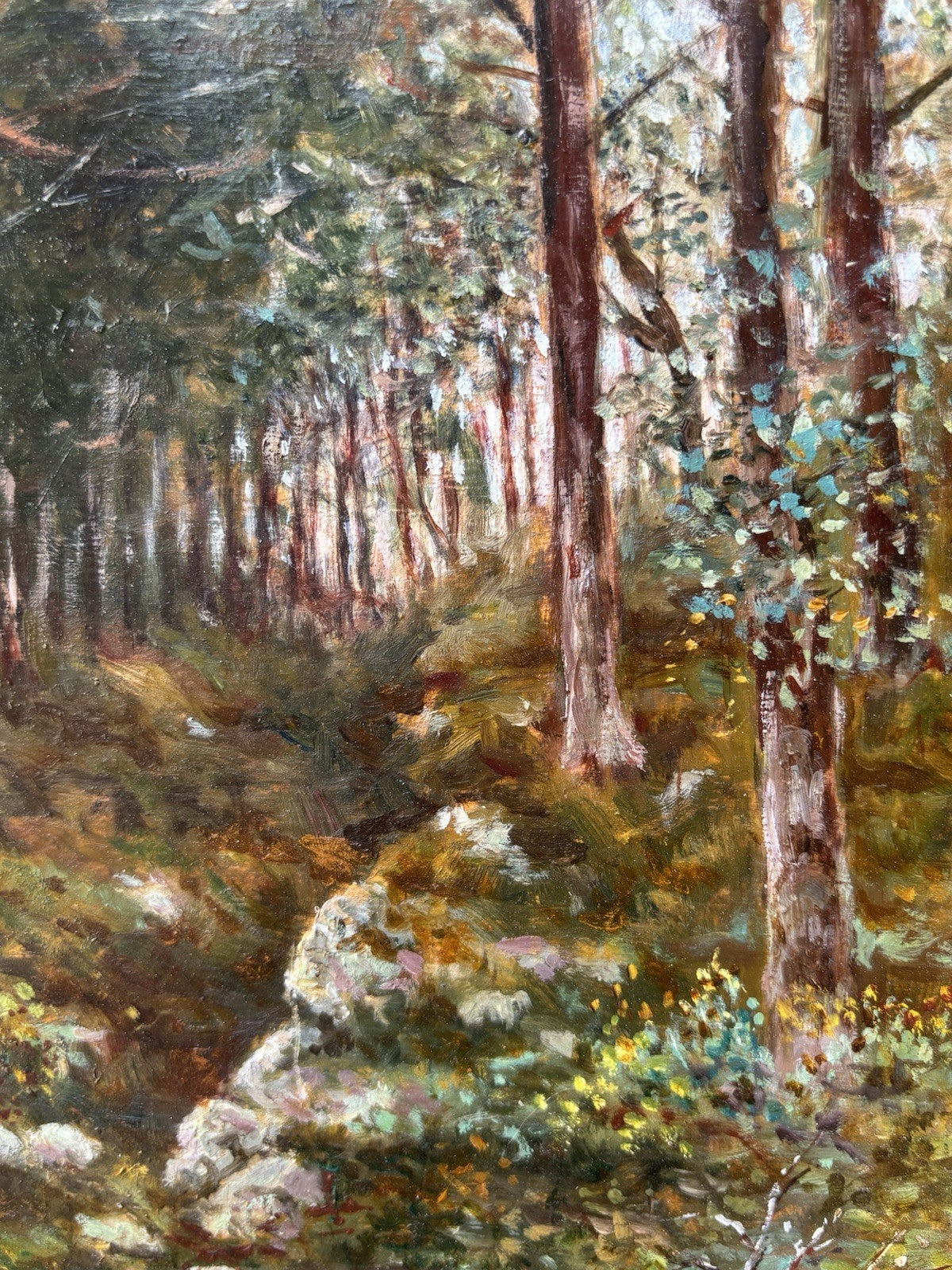 Quadro -Boschi Del Faito- Salvatore Maresca- dipinto a olio