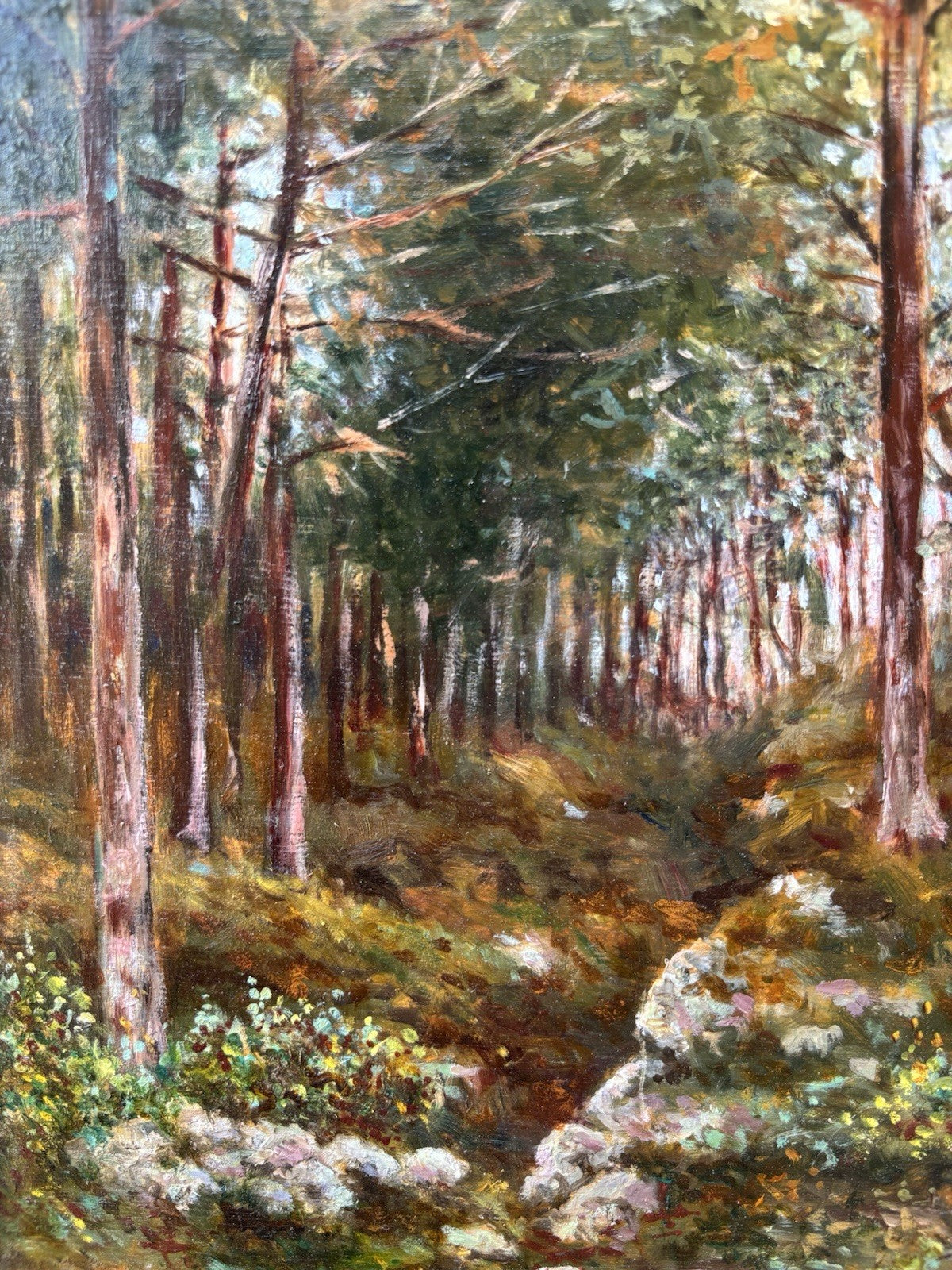 Quadro -Boschi Del Faito- Salvatore Maresca- dipinto a olio