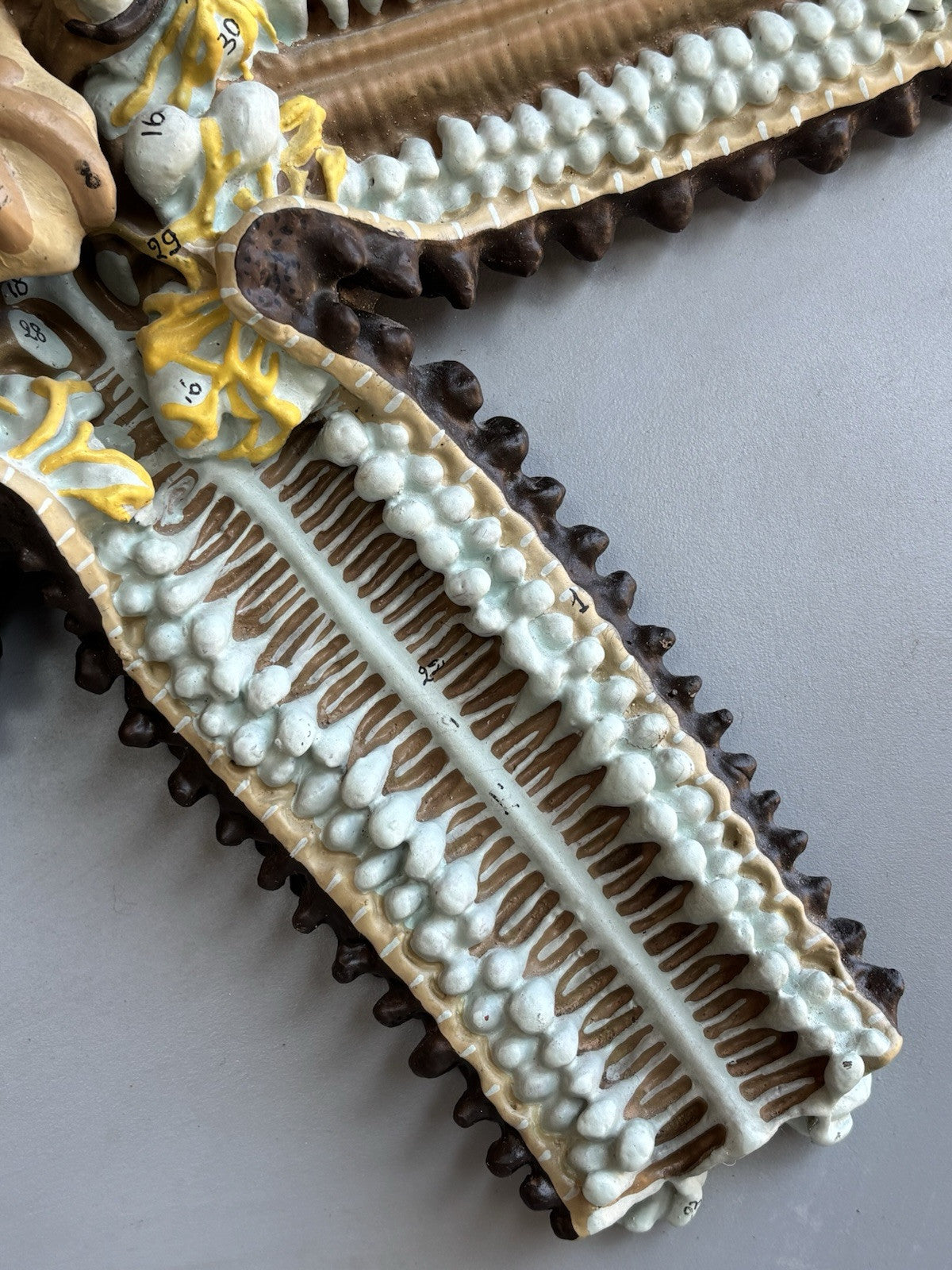 Stella Marina- Produzione Scientifica Paravia, Modello Didattico Vintage