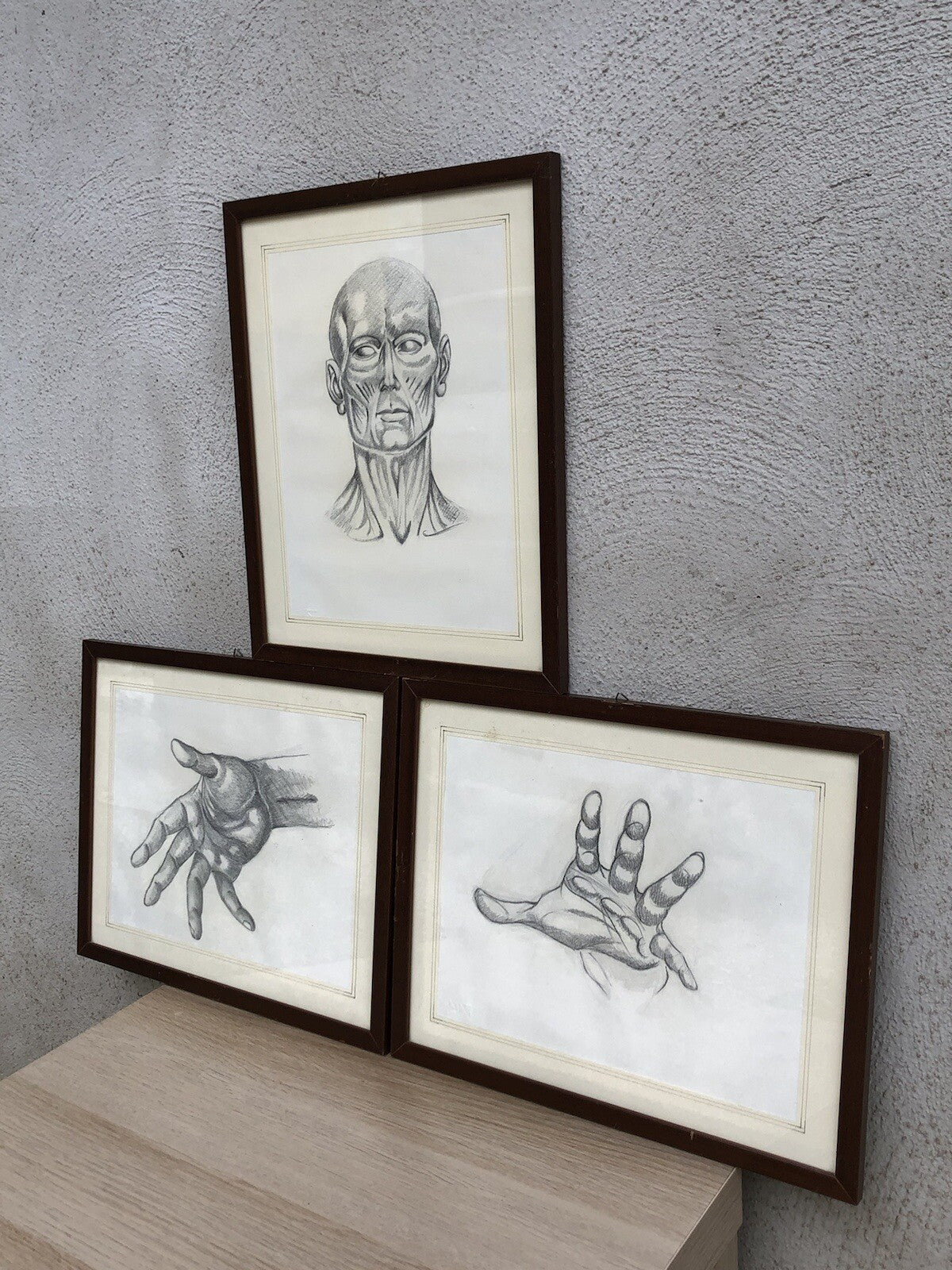 Quadri Vintage Con Disegni Anatomici