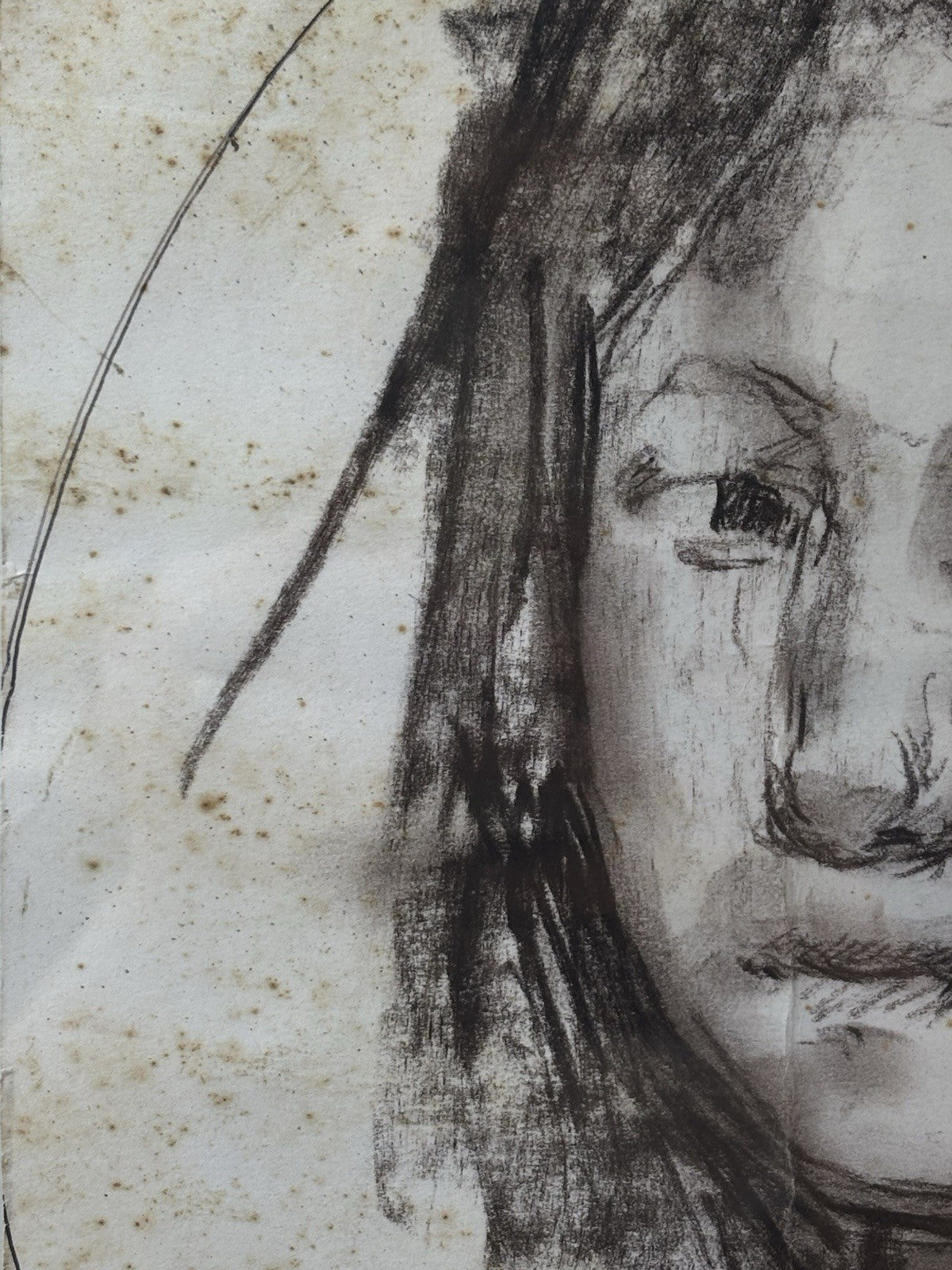 Quadro -Volto Di Donna- Giuseppe Ciavolino- disegno su carta