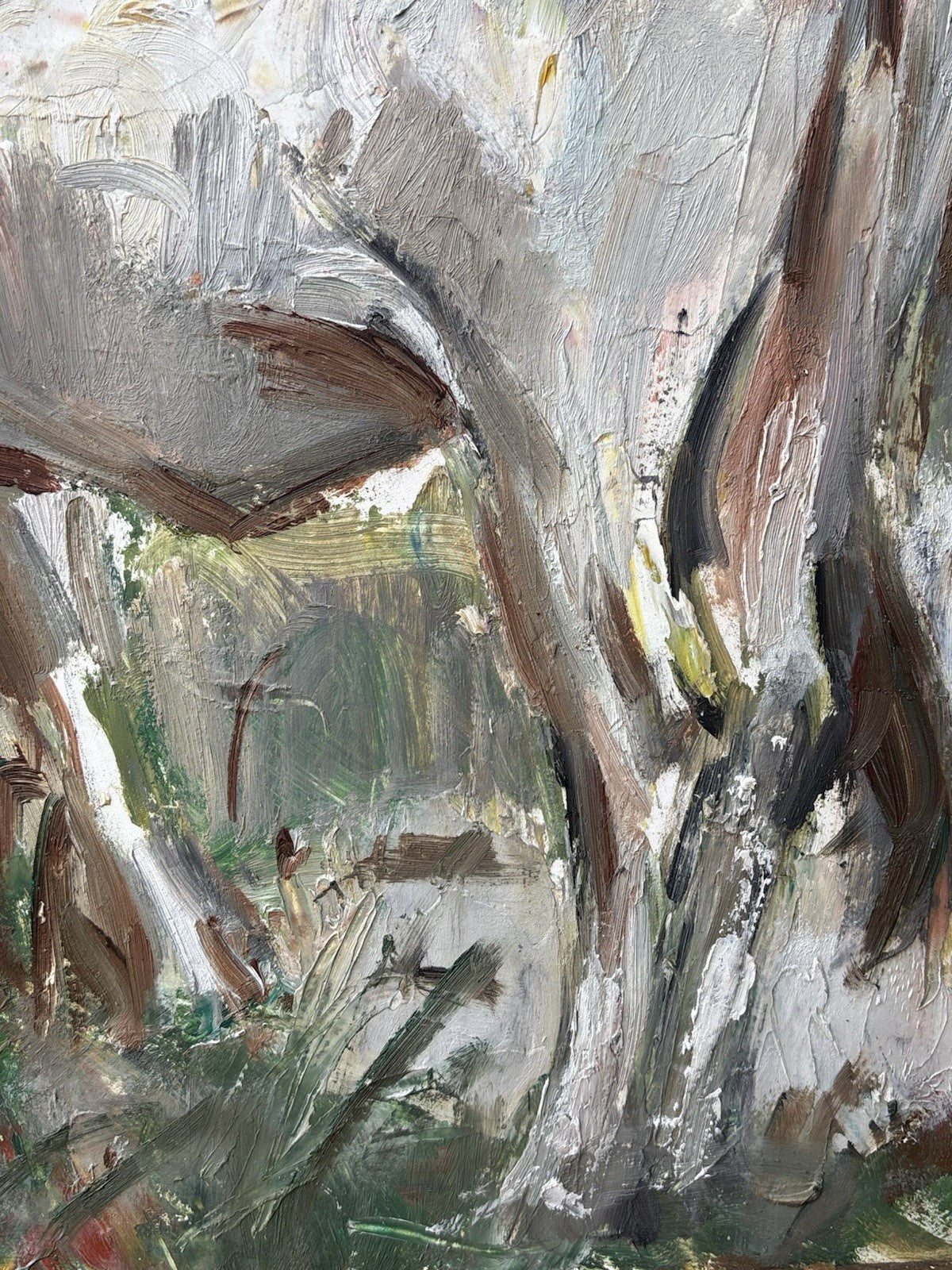 Quadro -Paesaggio Con Toro- Carlo Verdecchia dipinto a olio