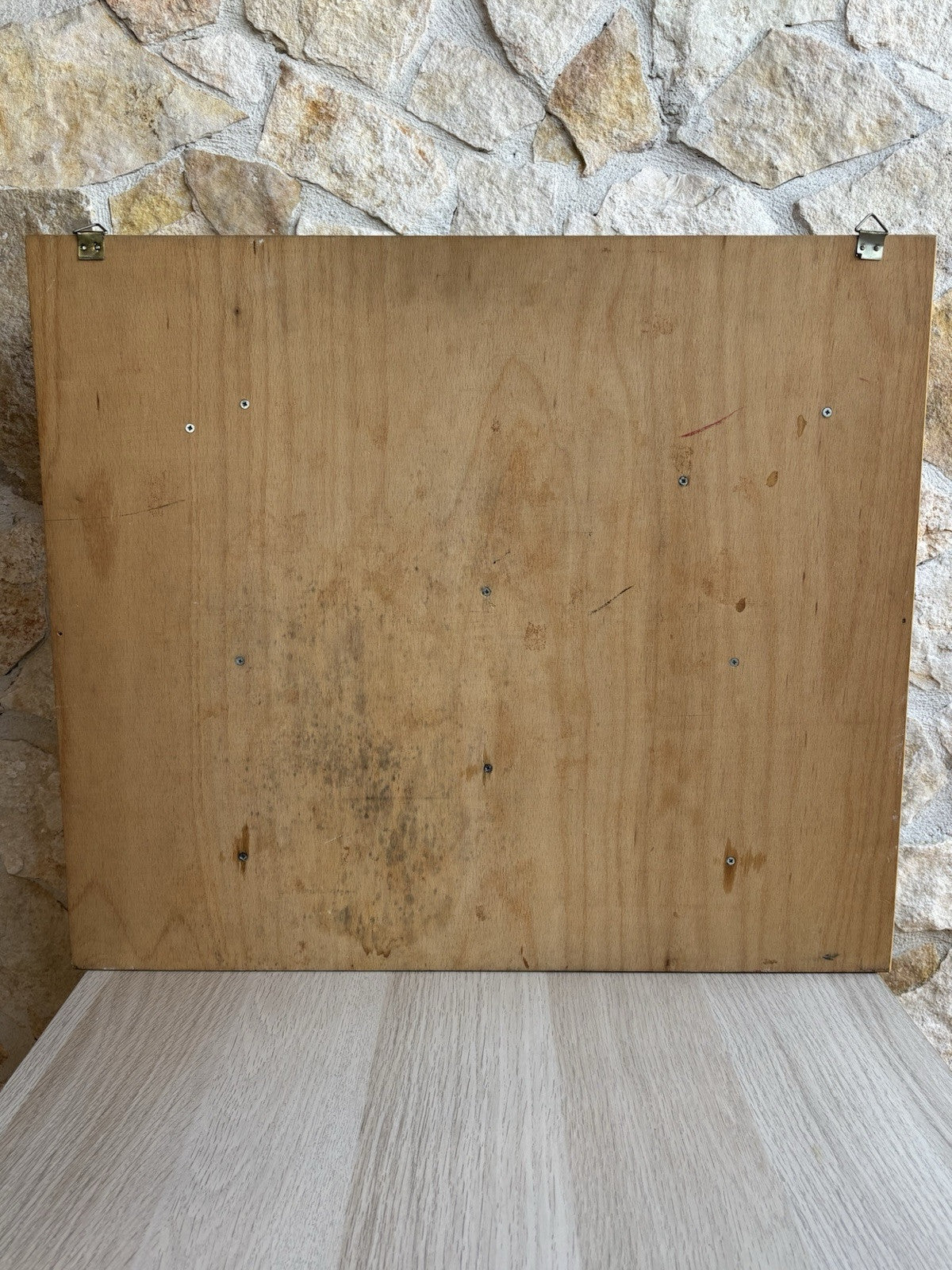 Somso- Modello Anatomico Sezioni Del Cervello- In Teca Vintage