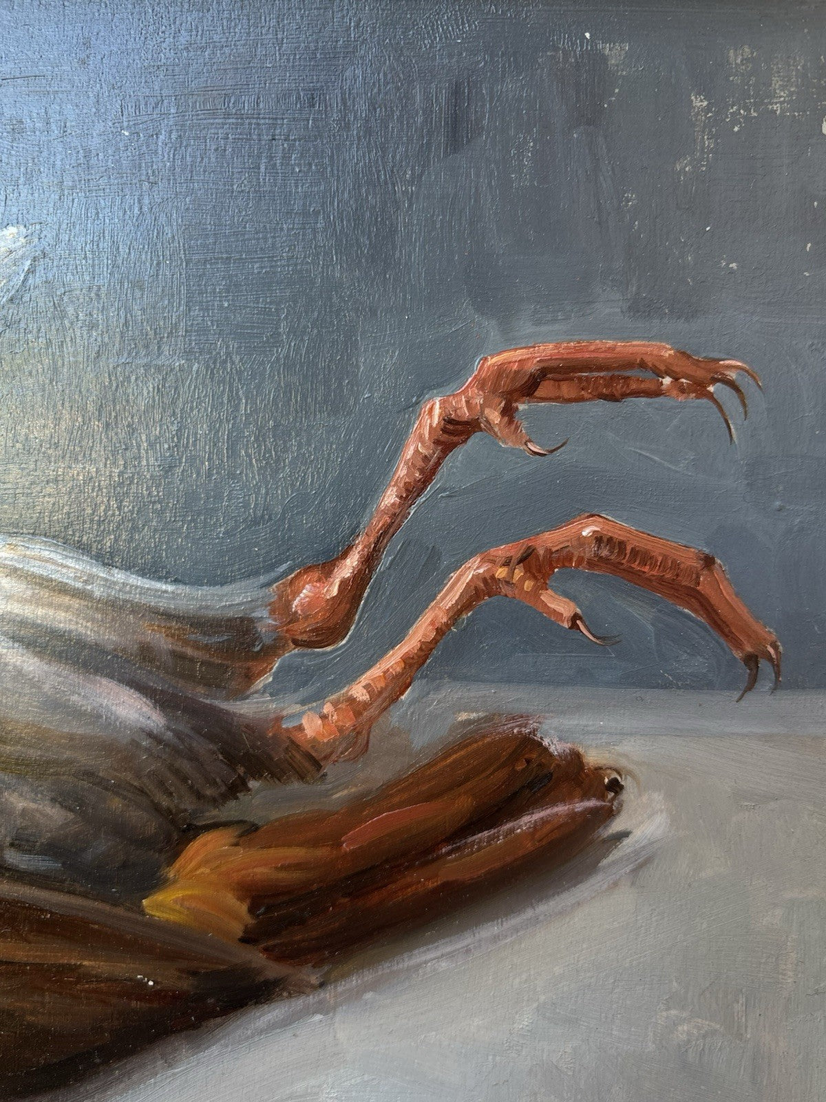 Quadro -Uccello- Vincenzo Canino dipinto a olio