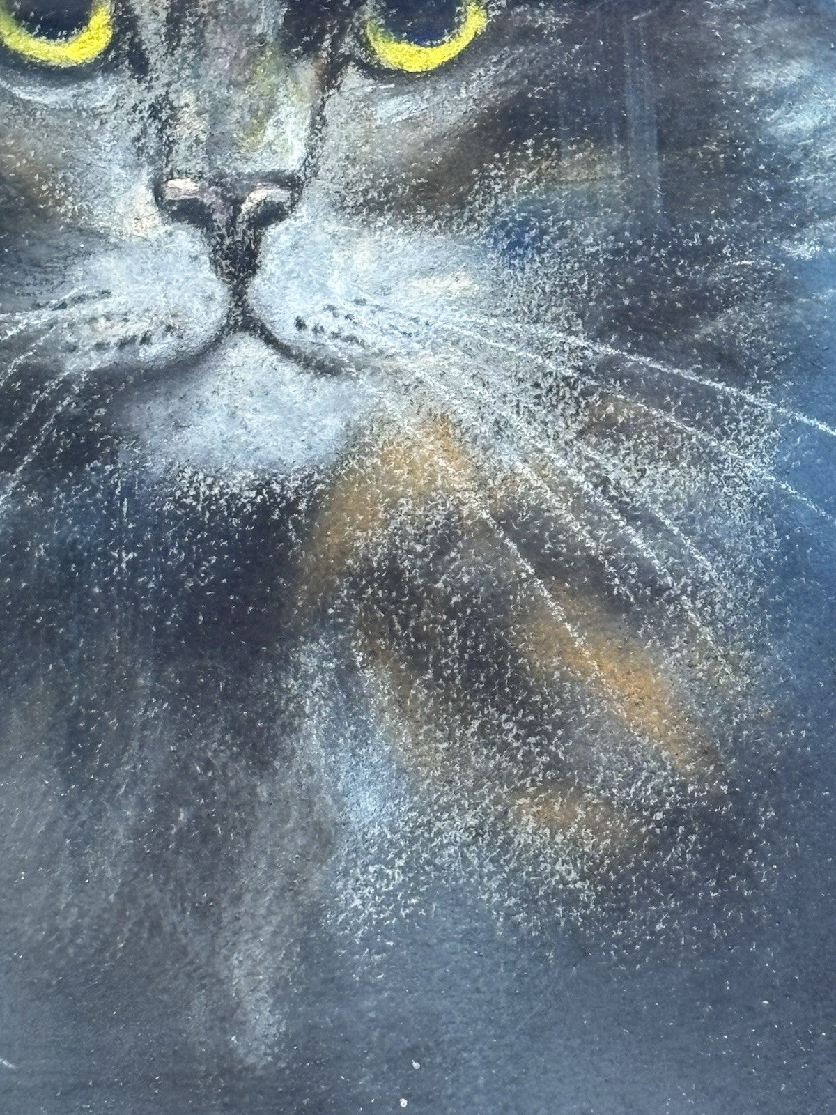 Quadro antico -Figura Gatto- pastello su carta