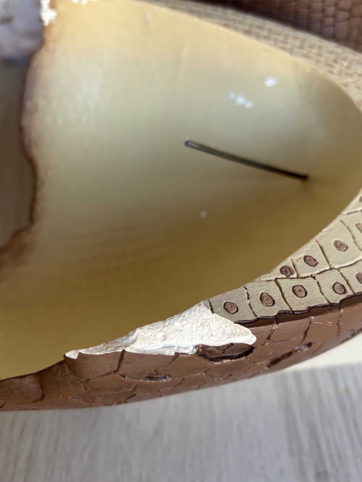 Modello Didattico/ Botanico, Somso Made In Germany