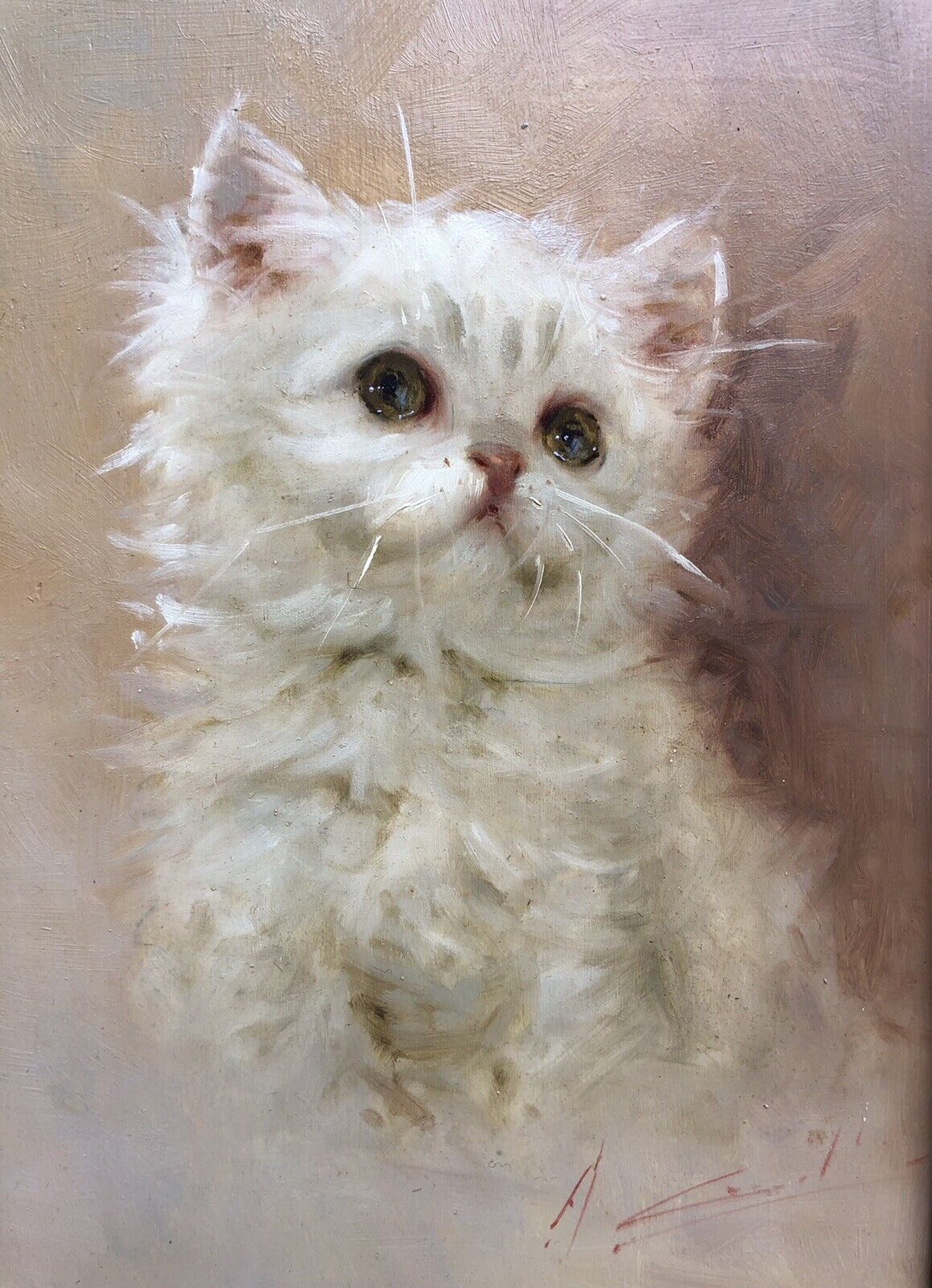 Quadro vintage-Gatto-dipinto a olio su tavola