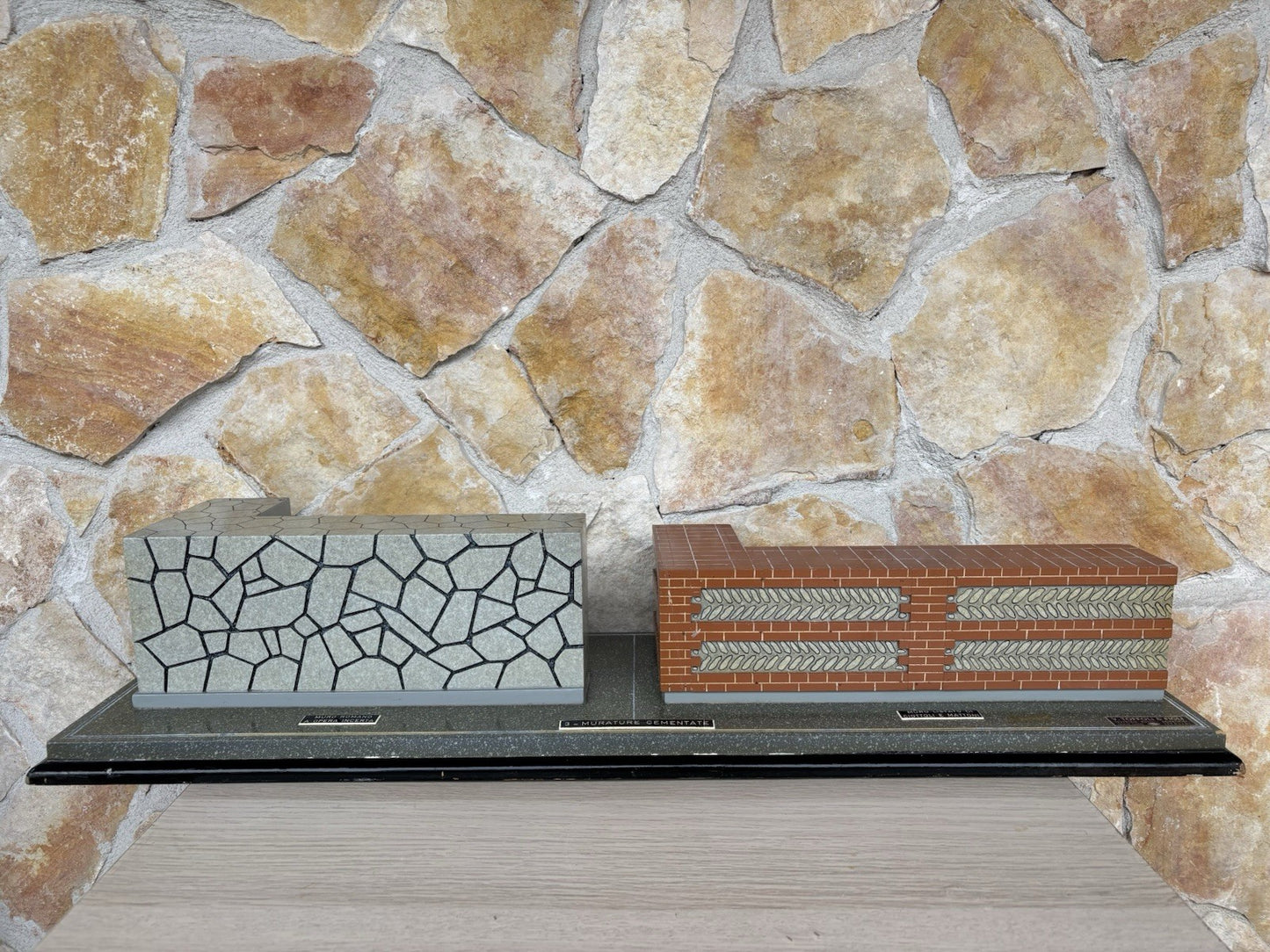 Modello Didattico E Scientifico Vintage Anni ‘50- Toffoli E Figli