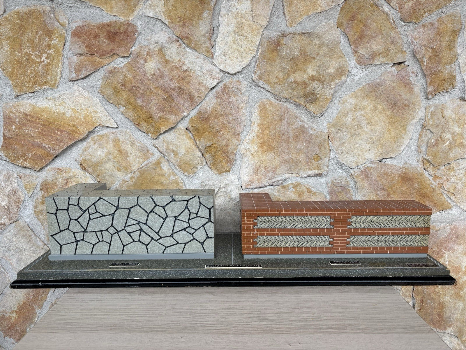 Modello Didattico E Scientifico Vintage Anni ‘50- Toffoli E Figli