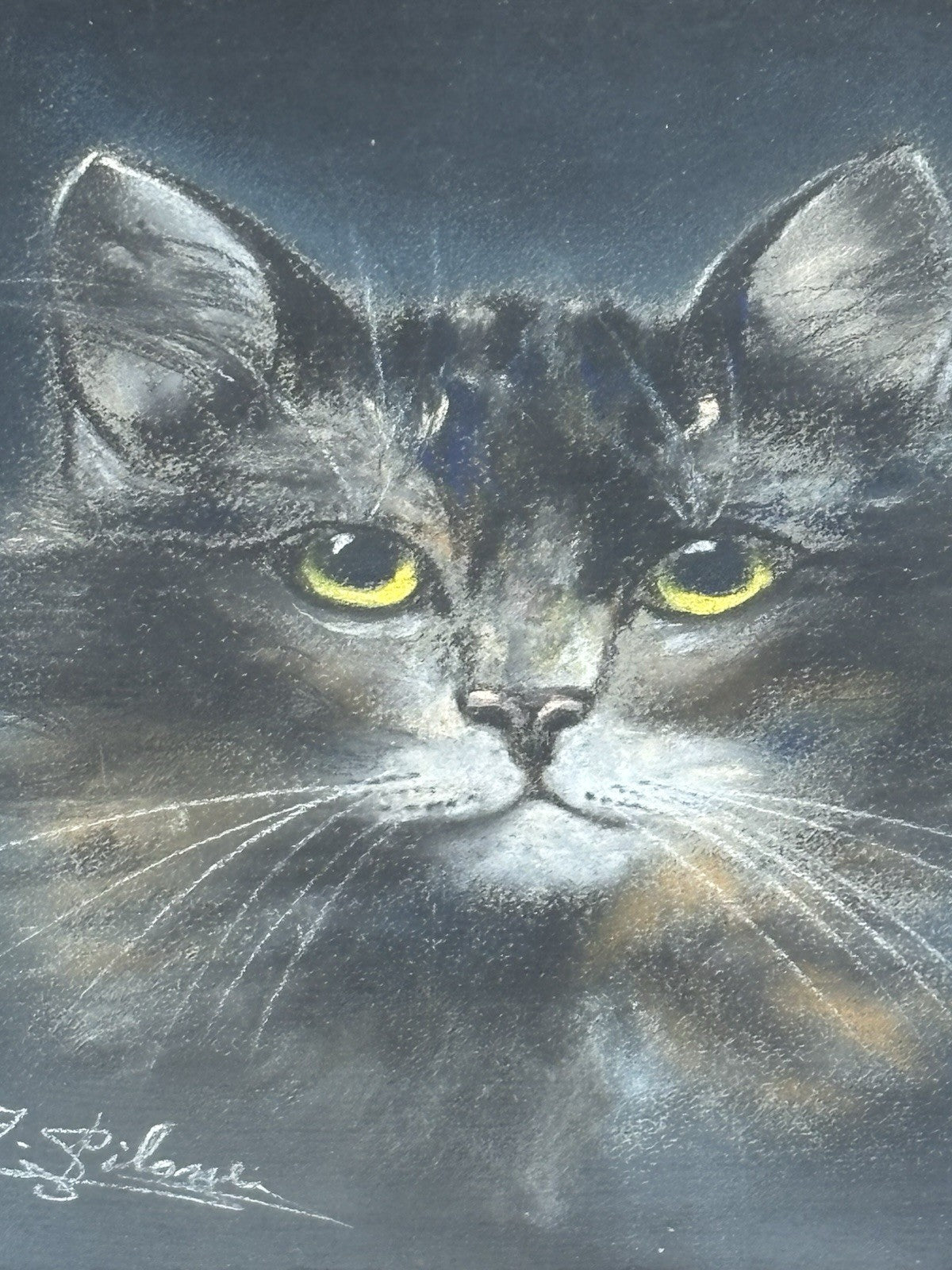 Quadro antico -Figura Gatto- pastello su carta