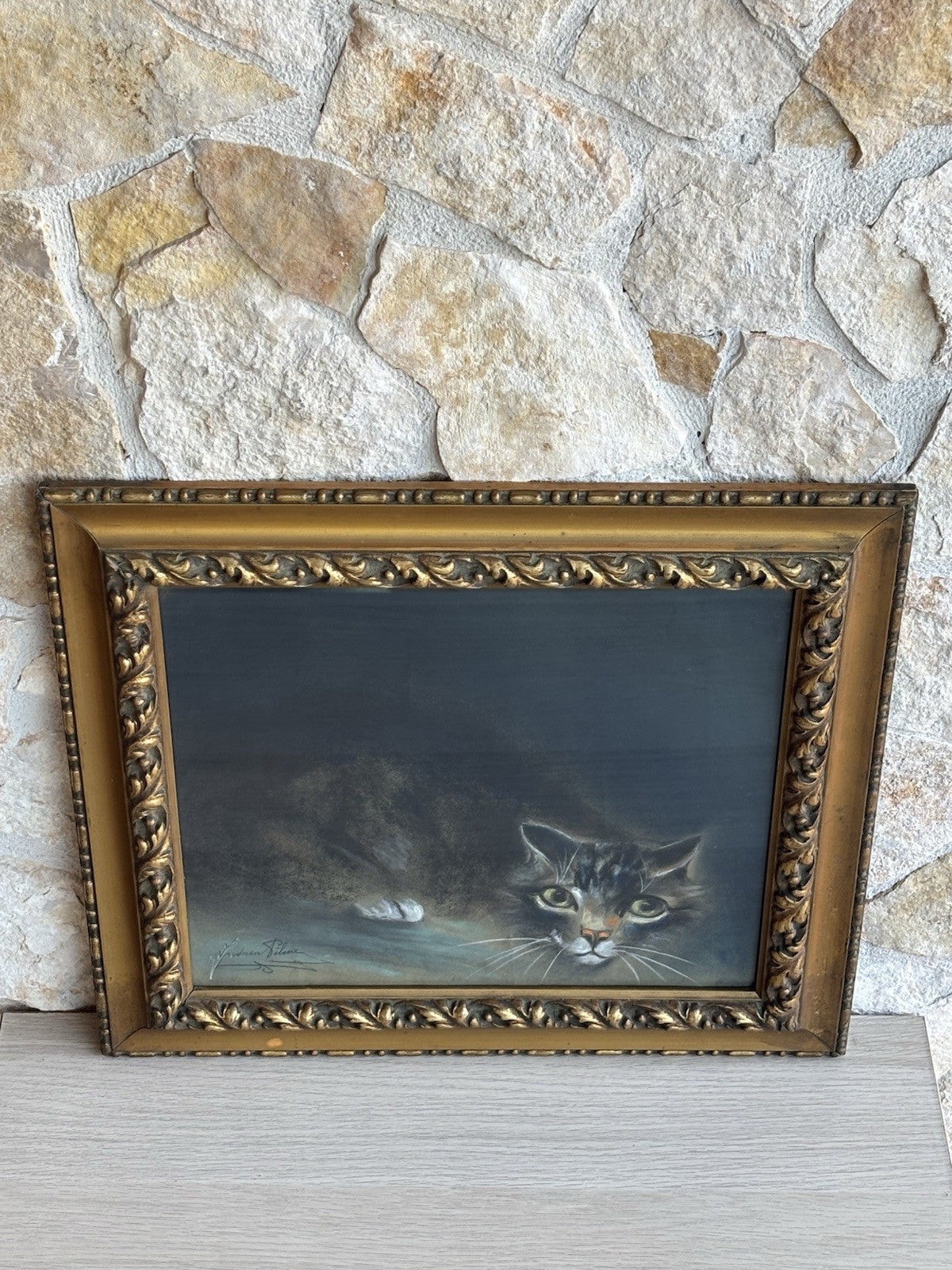 Quadro antico -Gatto- Andrea Pilone realizzato a pastello su carta