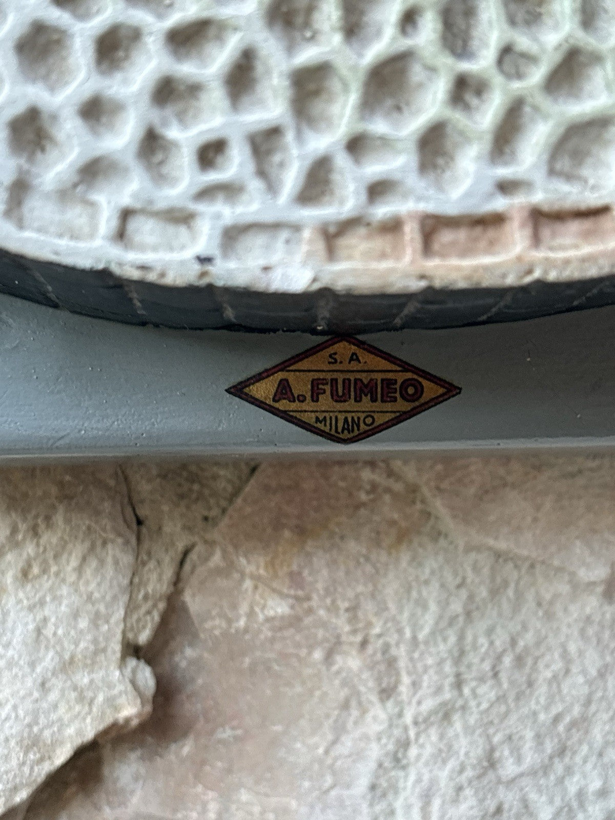 Modello Didattico/Botanico Vintage, Amedeo Fumeo Milano-