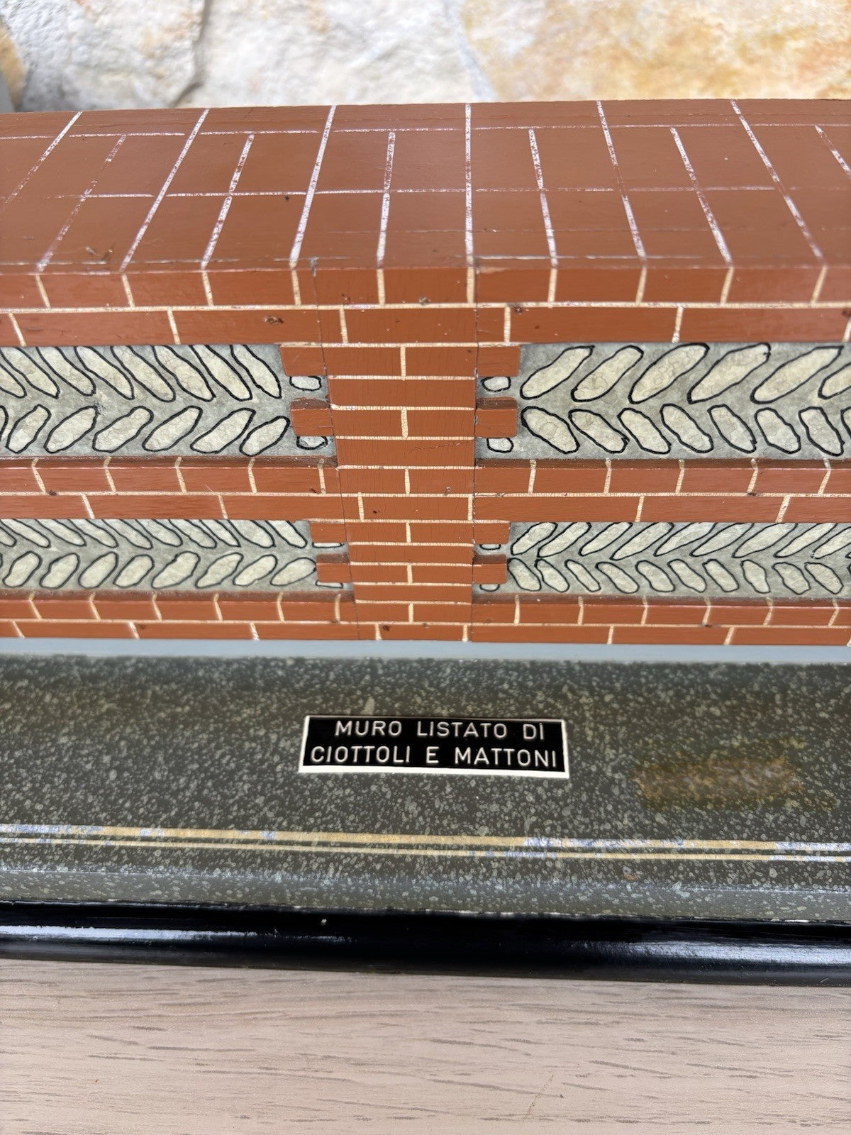 Modello Didattico E Scientifico Vintage Anni ‘50- Toffoli E Figli