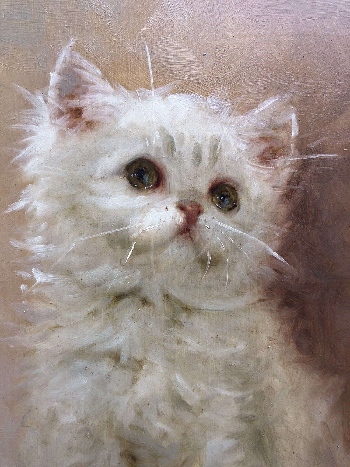 Quadro vintage-Gatto-dipinto a olio su tavola