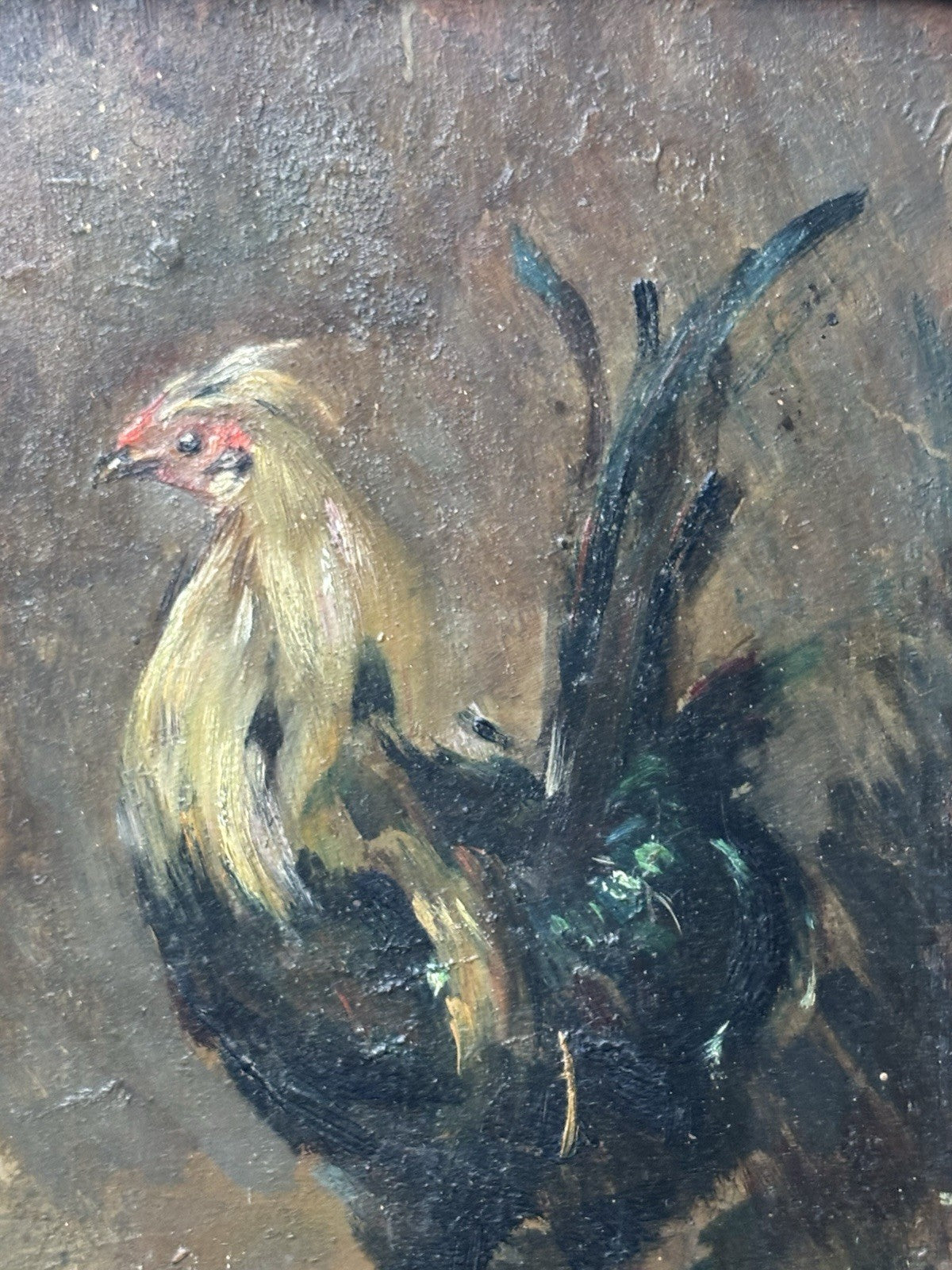 Quadro antico -Gallo- Giuseppe Uva dipinto a olio su tavoletta