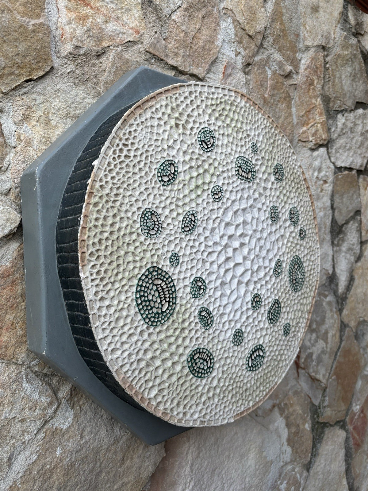 Modello Didattico/Botanico Vintage, Amedeo Fumeo Milano-