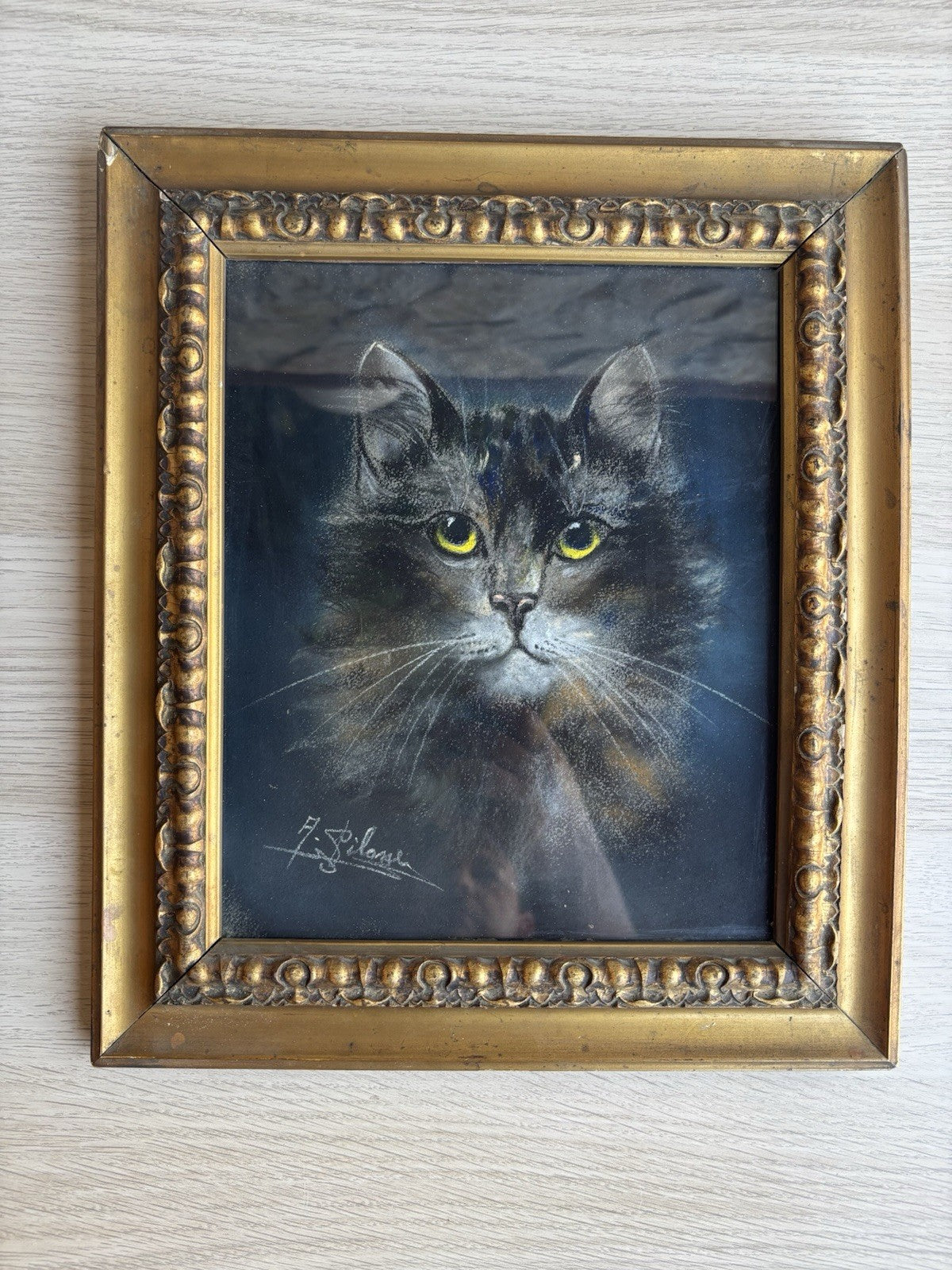 Quadro antico -Figura Gatto- pastello su carta