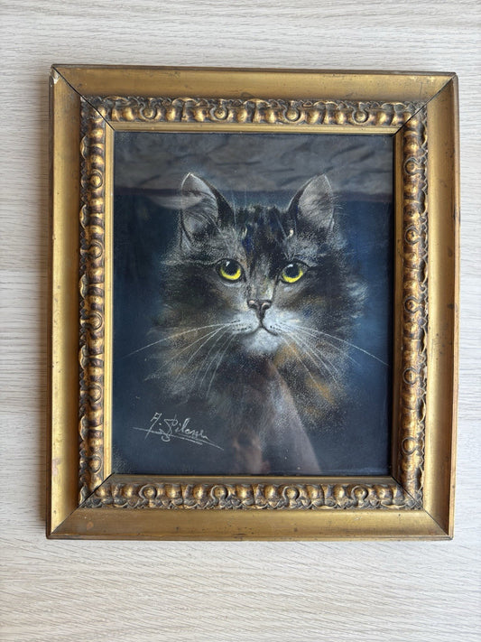 Quadro antico -Figura Gatto- pastello su carta