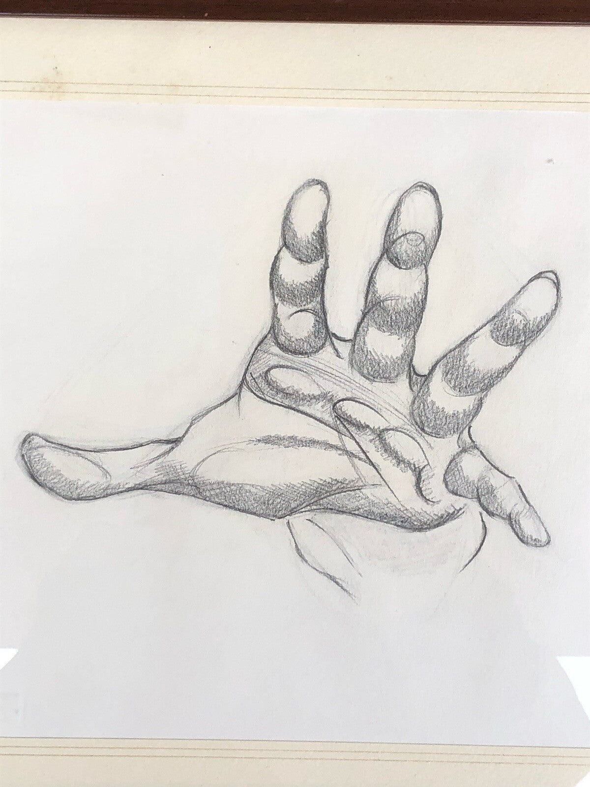 Quadri Vintage Con Disegni Anatomici