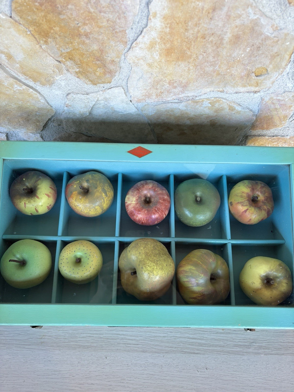 Modello Didattico- Principali Varietà Di Mele- Toffoli E Figli