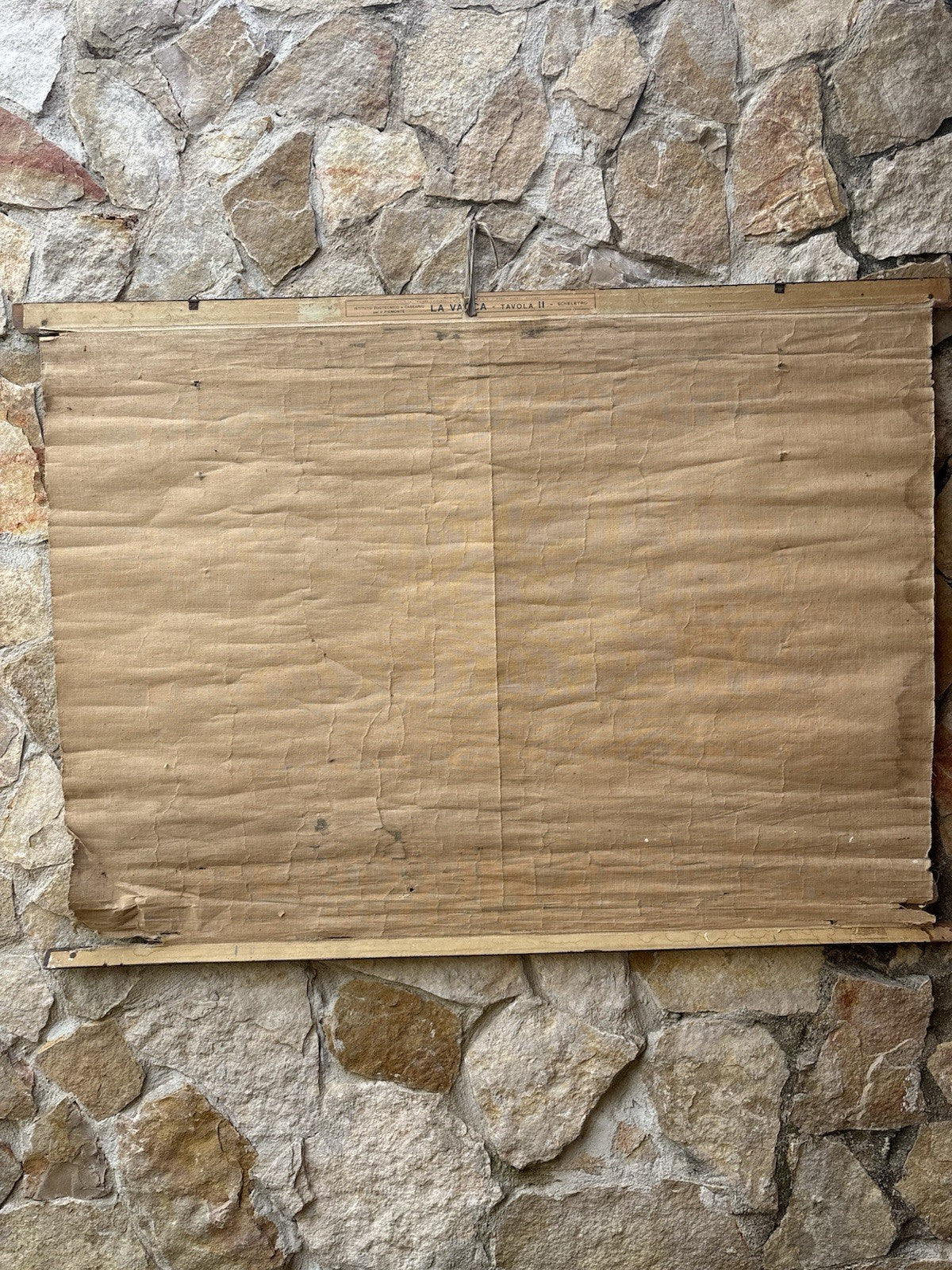 Tavola Parietale Vintage Paravia, La Vacca