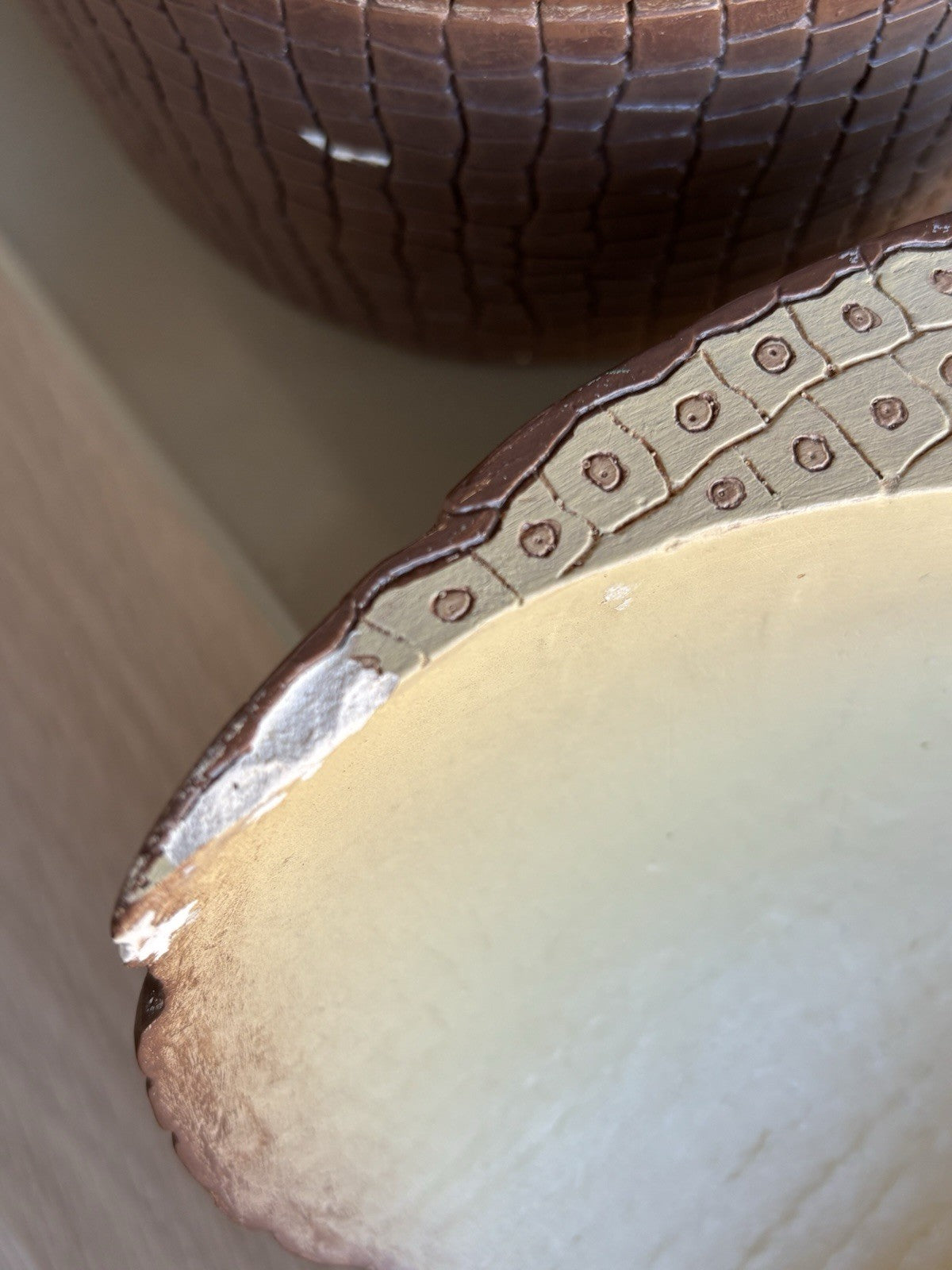 Modello Didattico/ Botanico, Somso Made In Germany