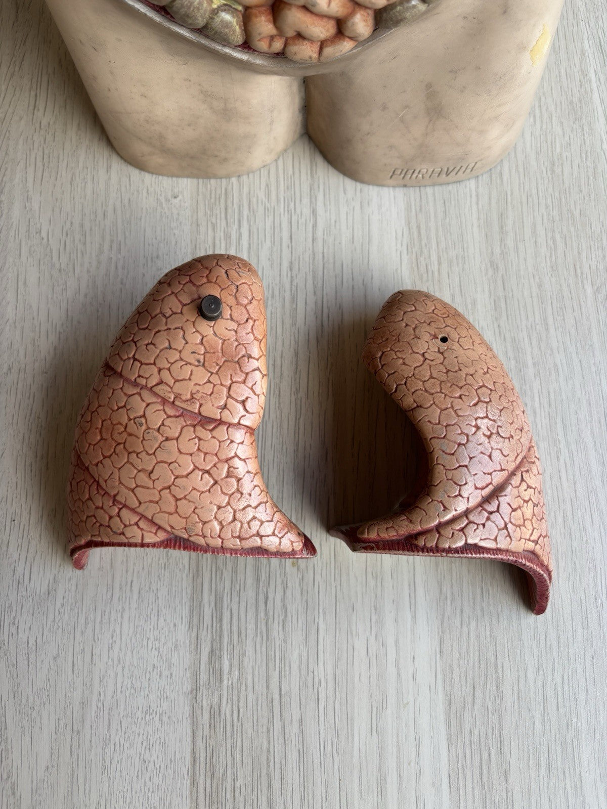 Modello Didattico Scientifico Busto Paravia