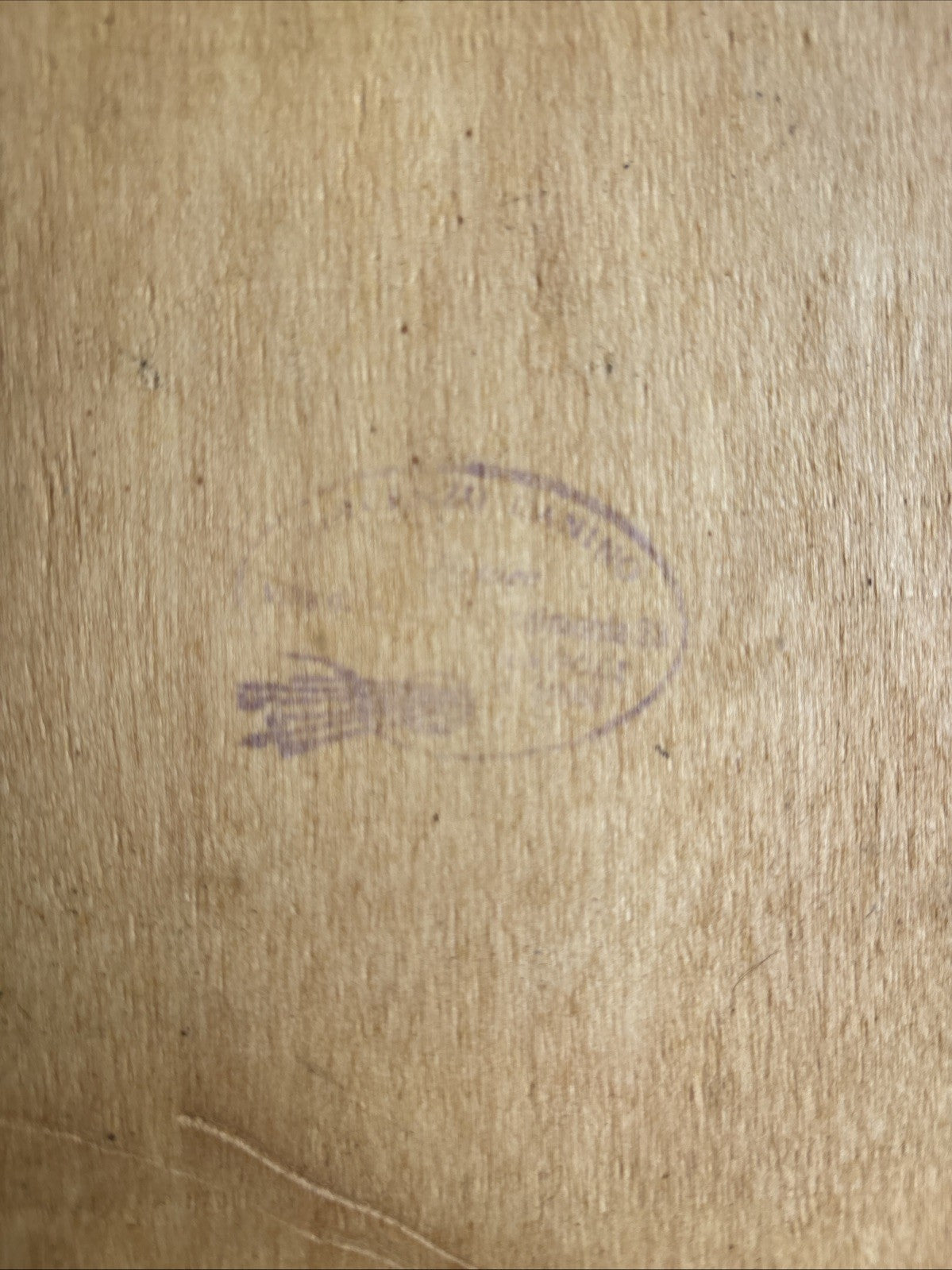 Quadro -Uccello- Vincenzo Canino dipinto a olio