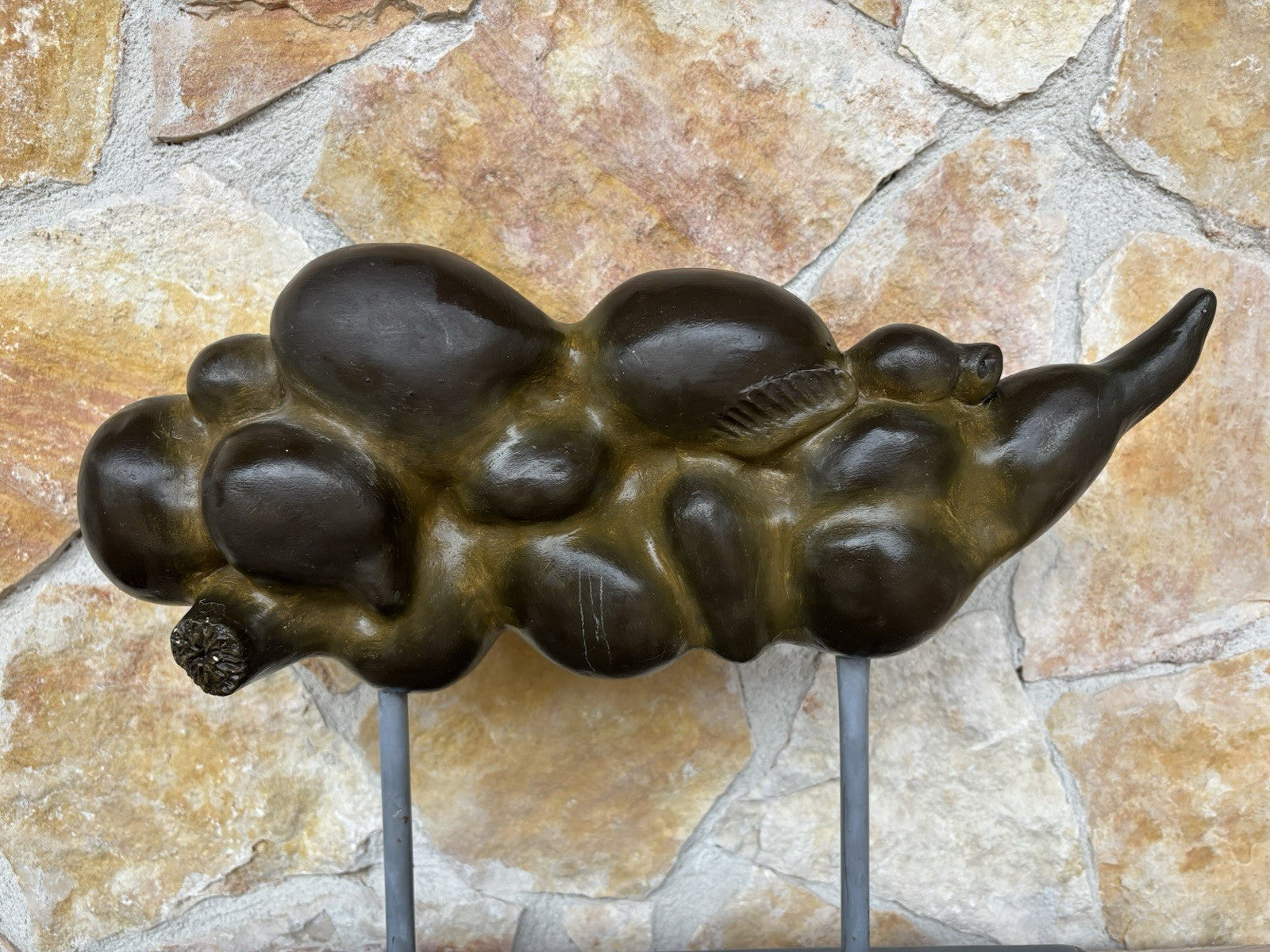 Modello Didattico Vintage