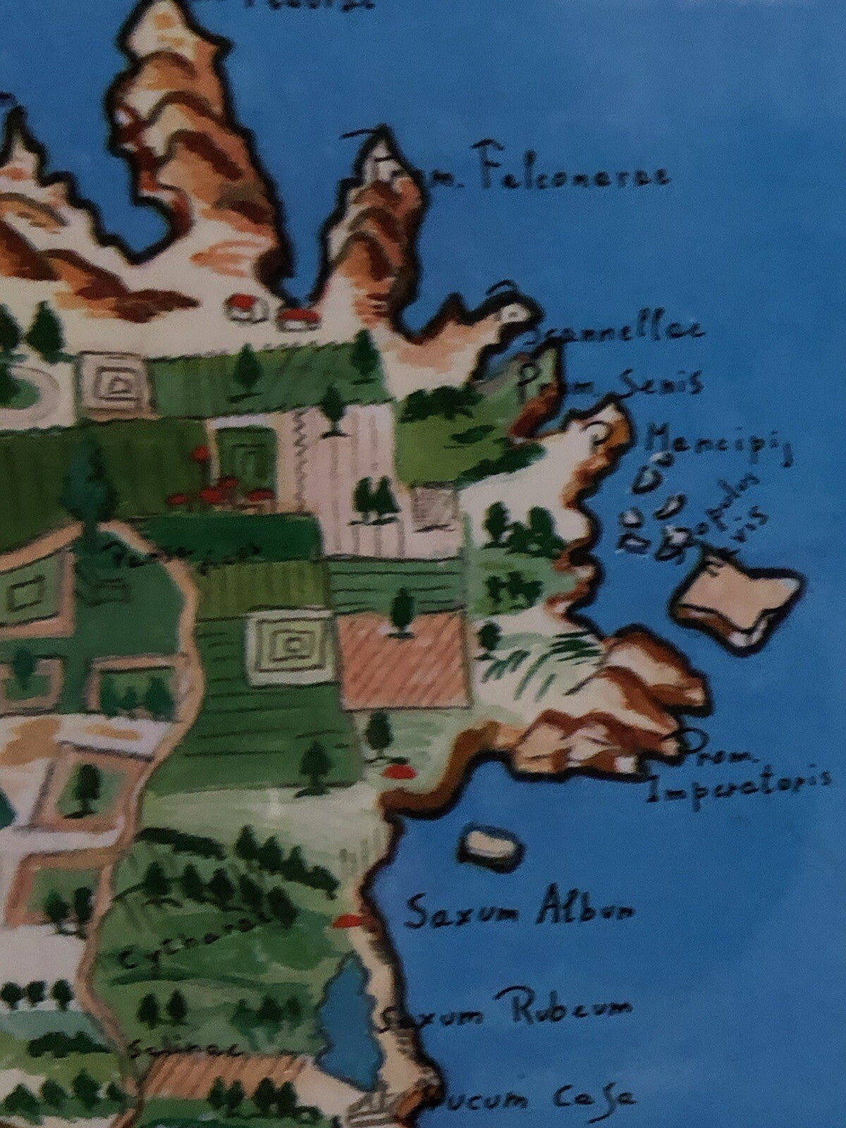 Mappa Vintage -Ischia Aenaria Antica- Dipinta Ad Acquerello E Tempera Su Carta