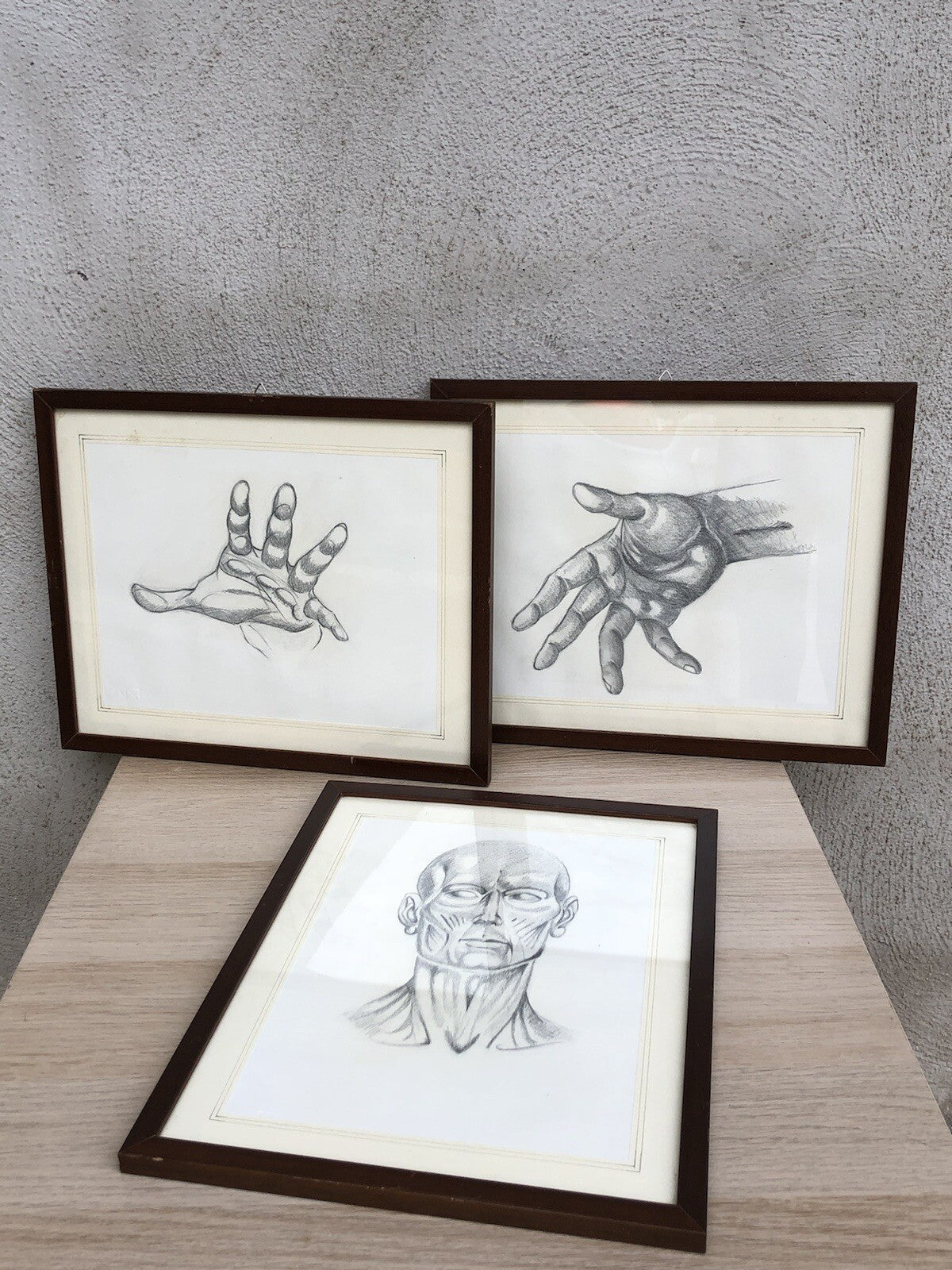 Quadri Vintage Con Disegni Anatomici
