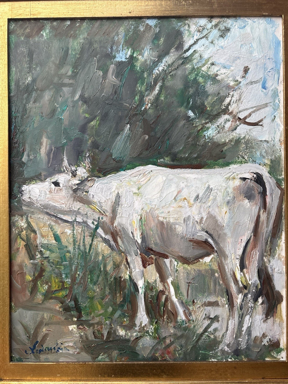 Quadro -Paesaggio Con Toro- Carlo Verdecchia dipinto a olio