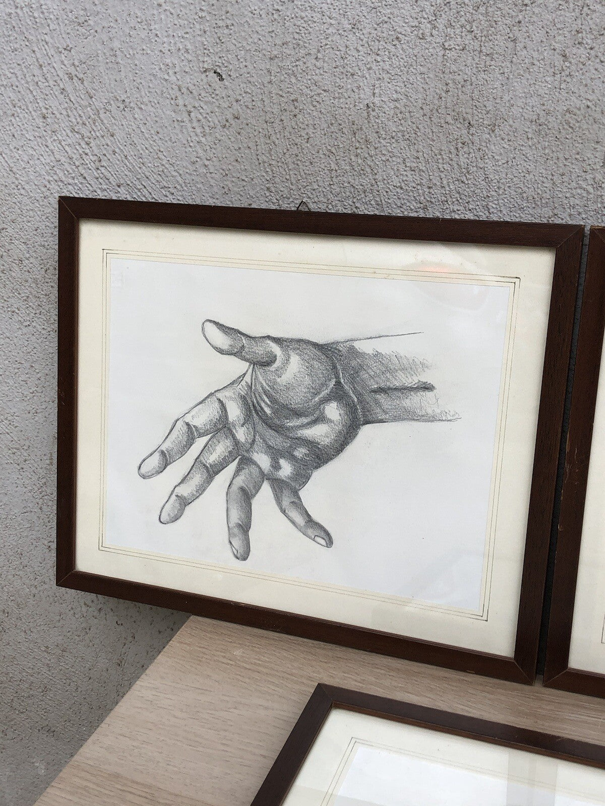 Quadri Vintage Con Disegni Anatomici