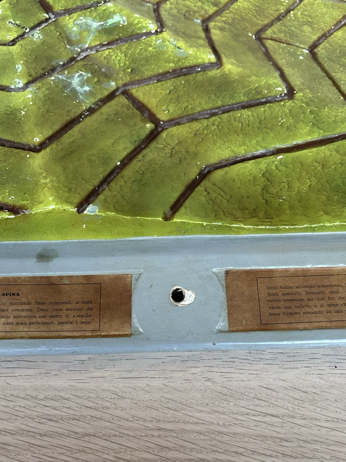 Modello Didattico Produzione Scientifica Paravia