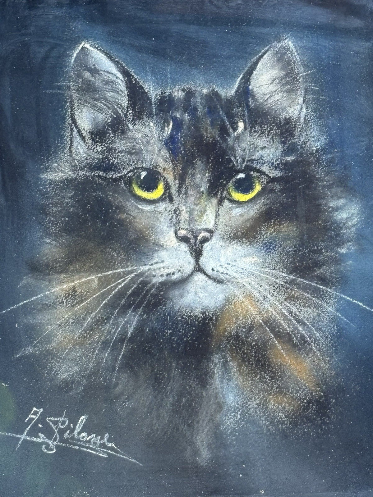 Quadro antico -Figura Gatto- pastello su carta