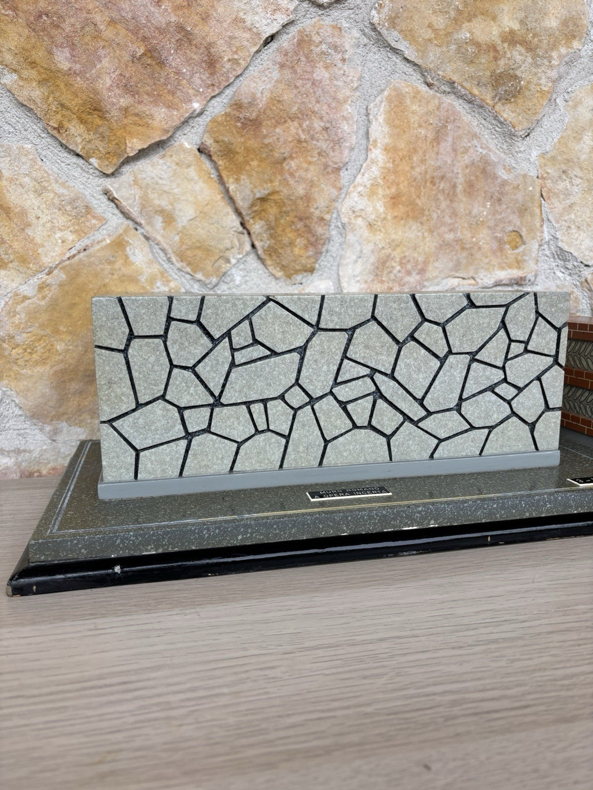 Modello Didattico E Scientifico Vintage Anni ‘50- Toffoli E Figli