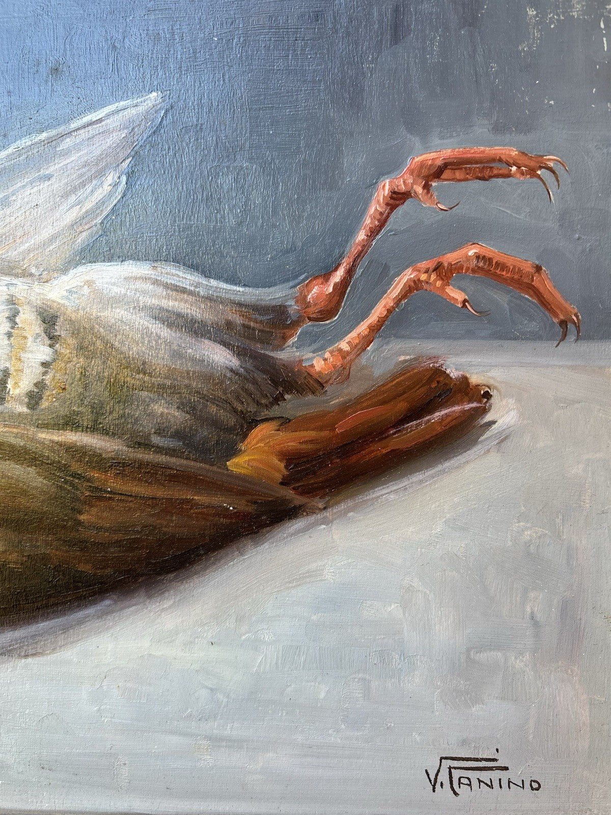 Quadro -Uccello- Vincenzo Canino dipinto a olio