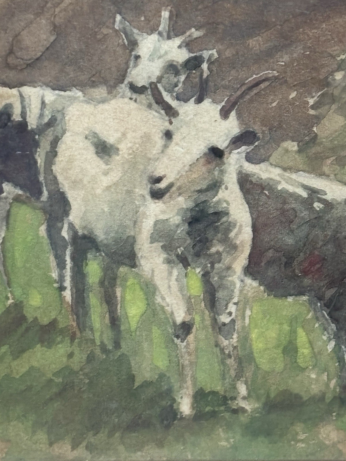 Quadro miniatura -Capre Al Pascolo- realizzato ad acquerello su carta