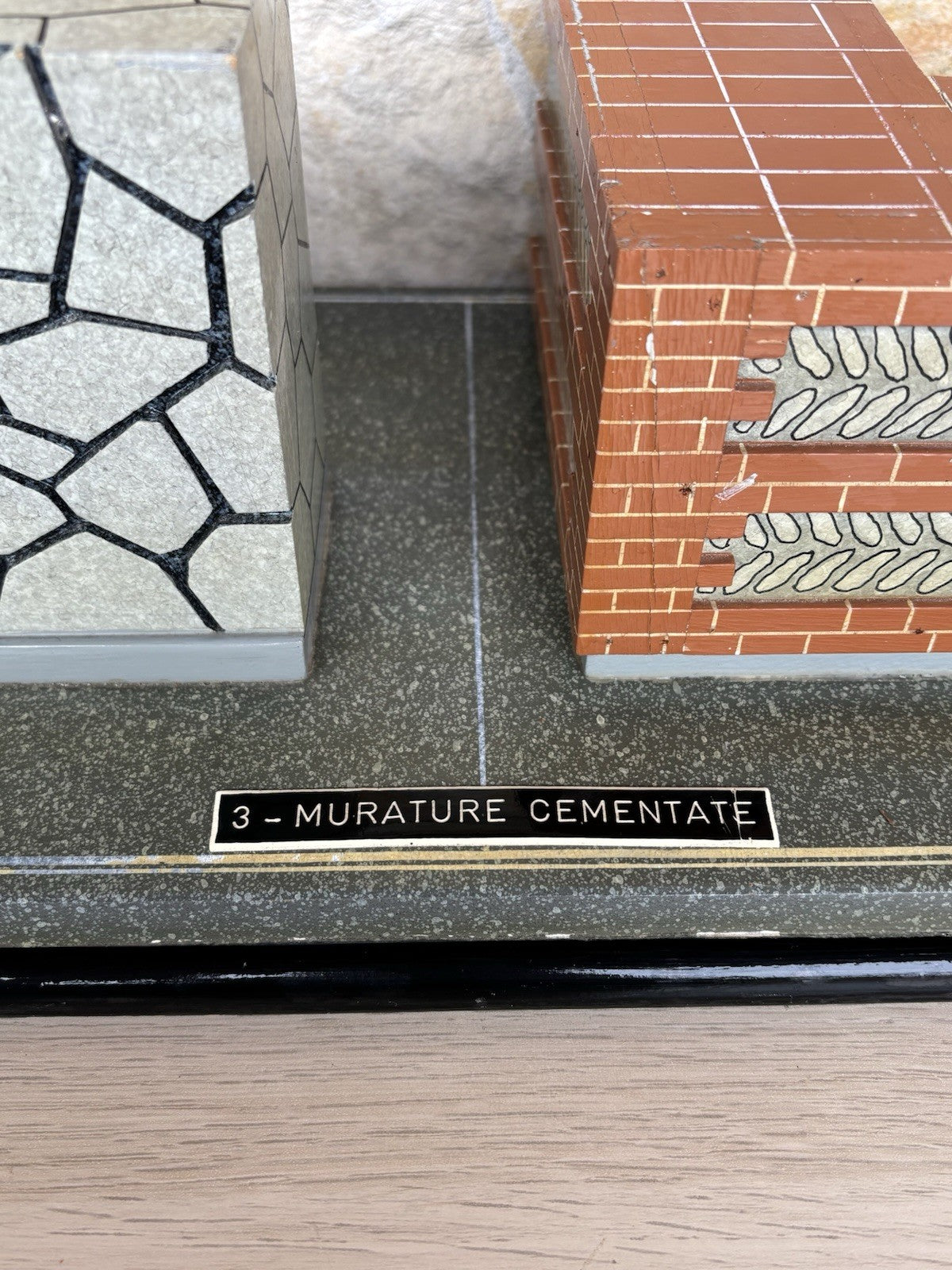 Modello Didattico E Scientifico Vintage Anni ‘50- Toffoli E Figli