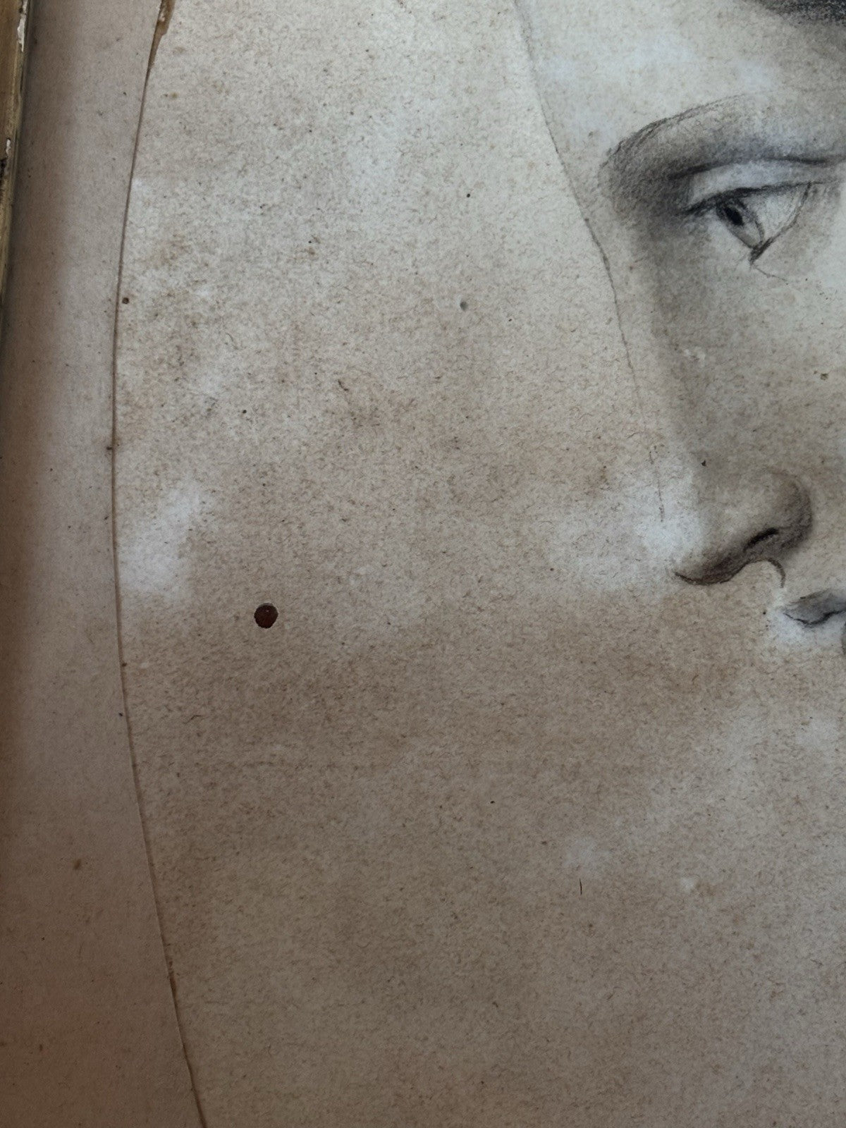 Quadro antico -Profilo Di Donna- disegno su carta