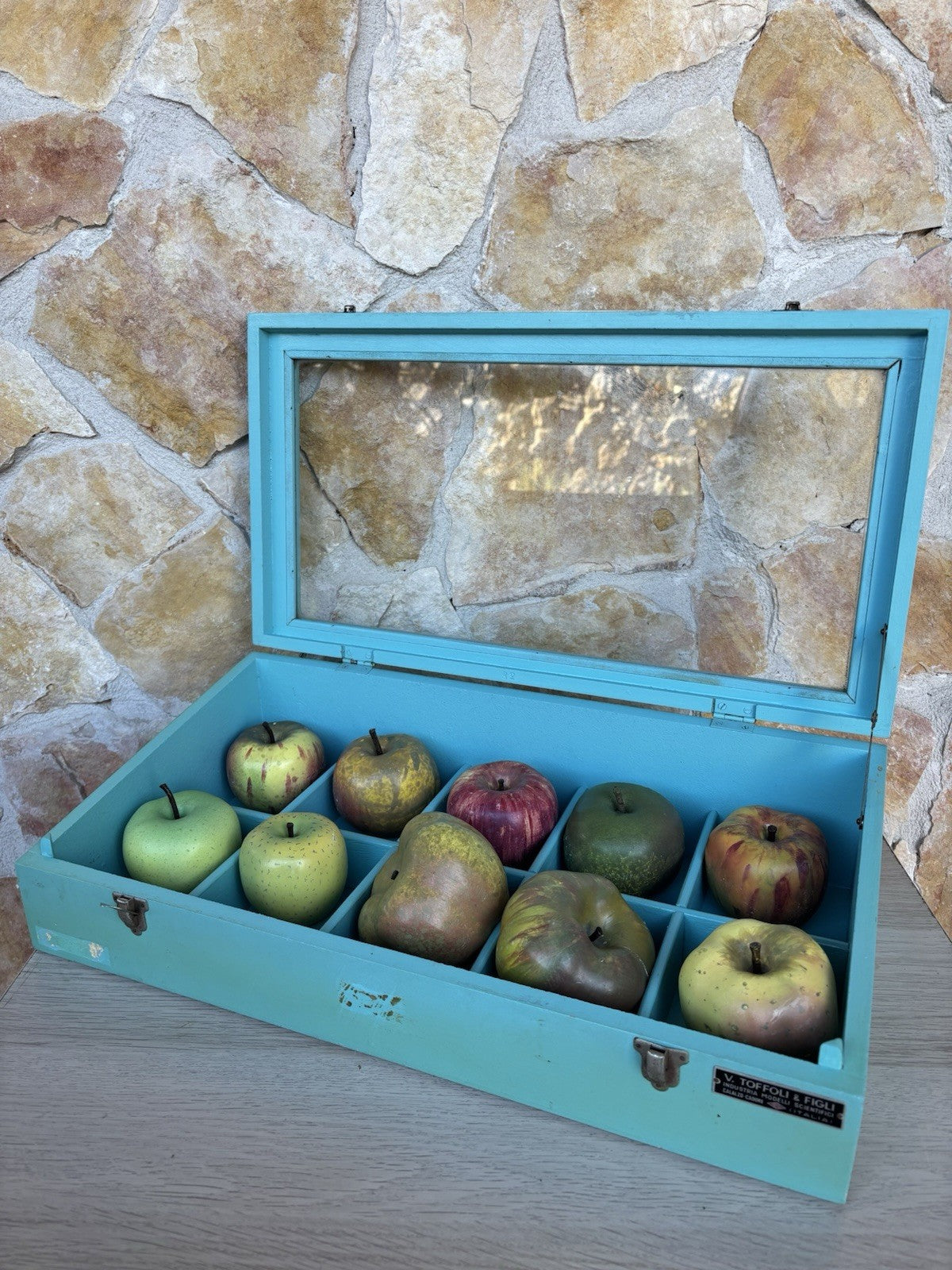 Modello Didattico- Principali Varietà Di Mele- Toffoli E Figli