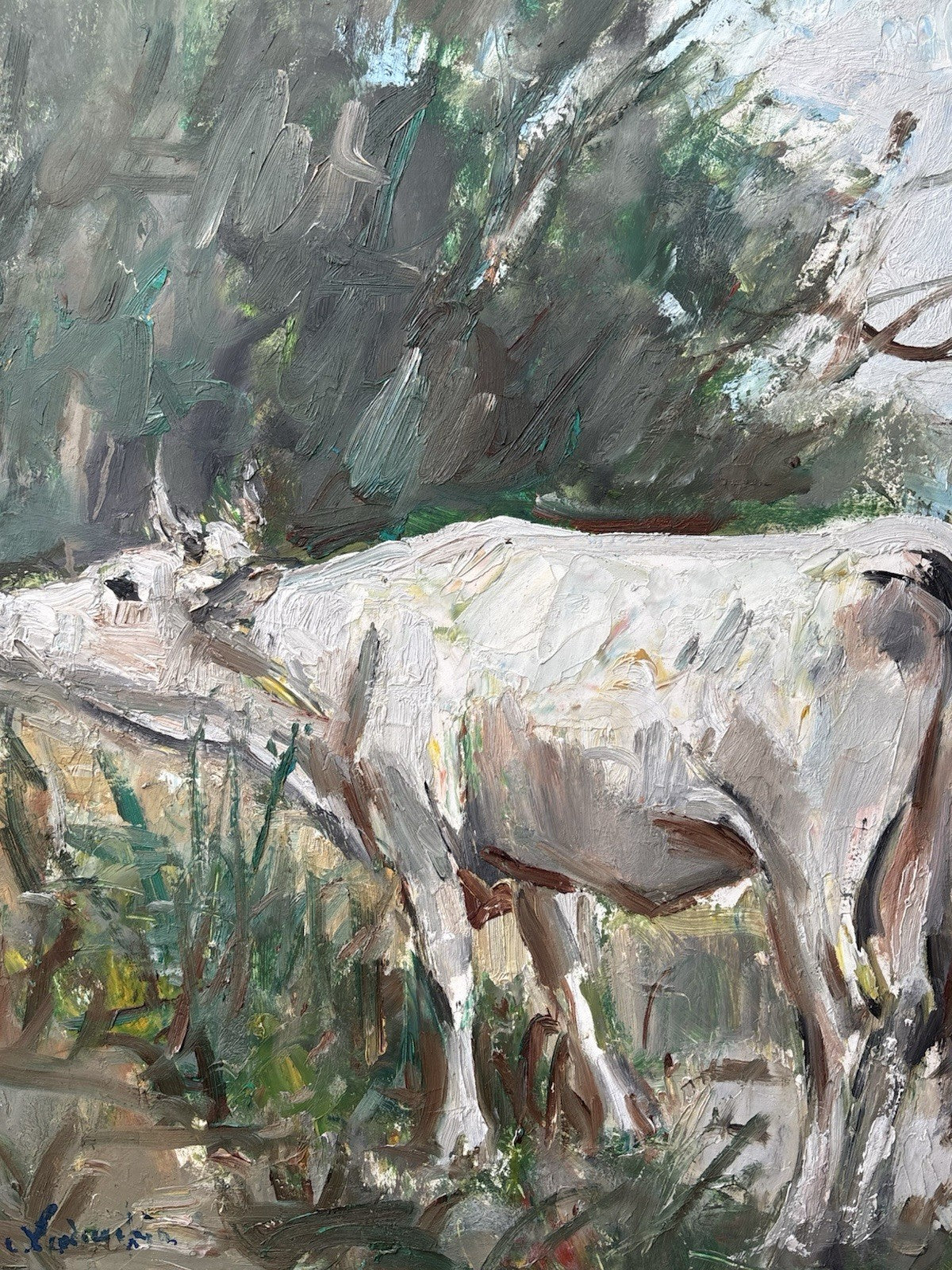 Quadro -Paesaggio Con Toro- Carlo Verdecchia dipinto a olio