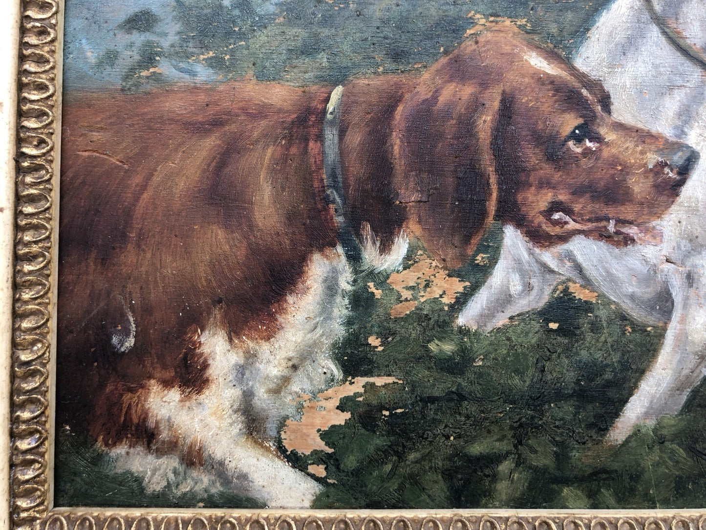 Quadro antico -Cani Da Caccia- dipinto a olio su tavola