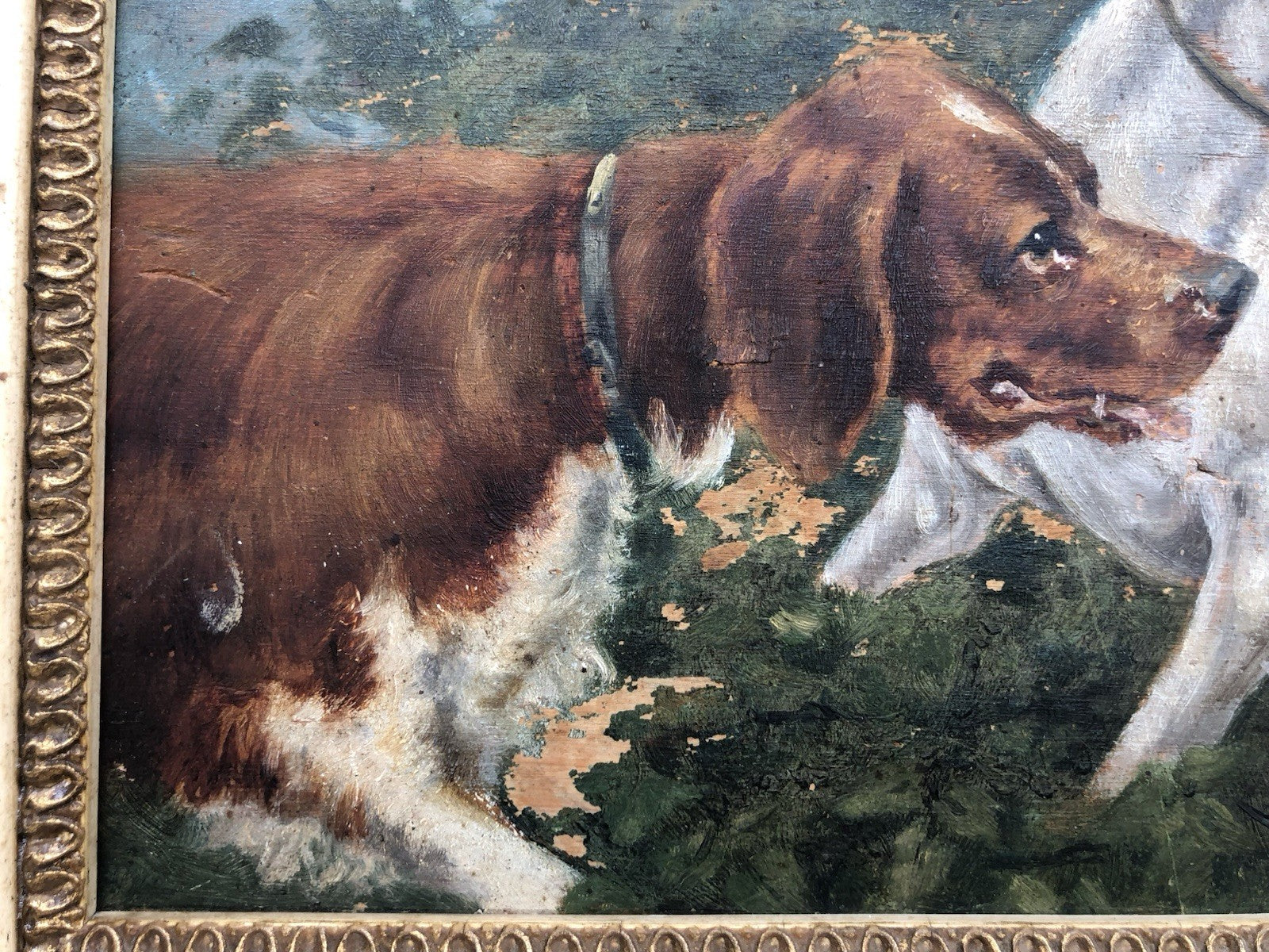 Quadro antico -Cani Da Caccia- dipinto a olio su tavola