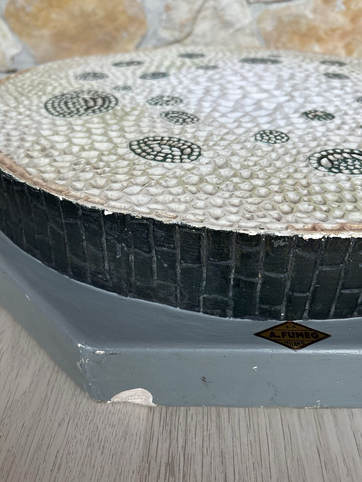 Modello Didattico/Botanico Vintage, Amedeo Fumeo Milano-