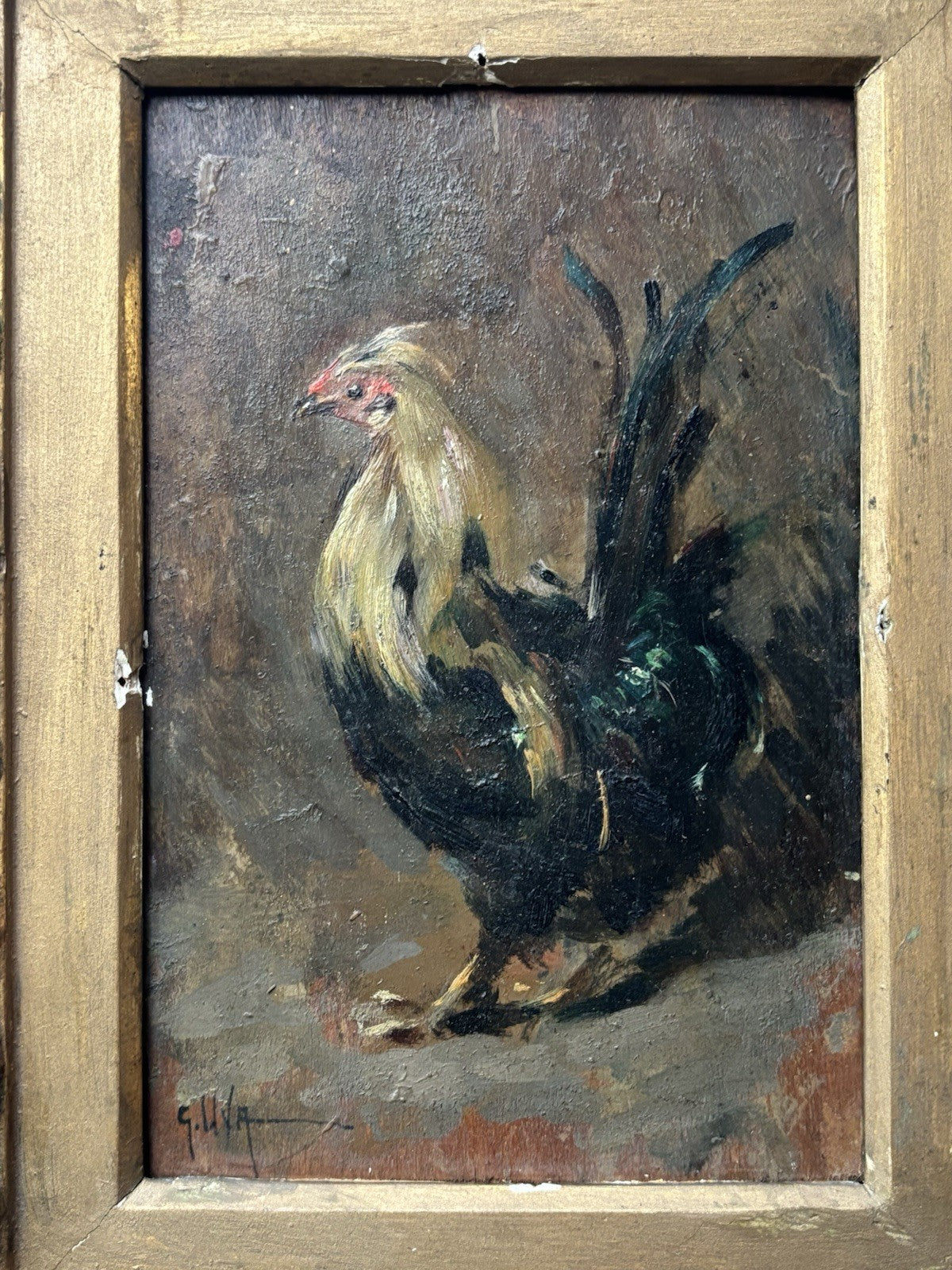 Quadro antico -Gallo- Giuseppe Uva dipinto a olio su tavoletta